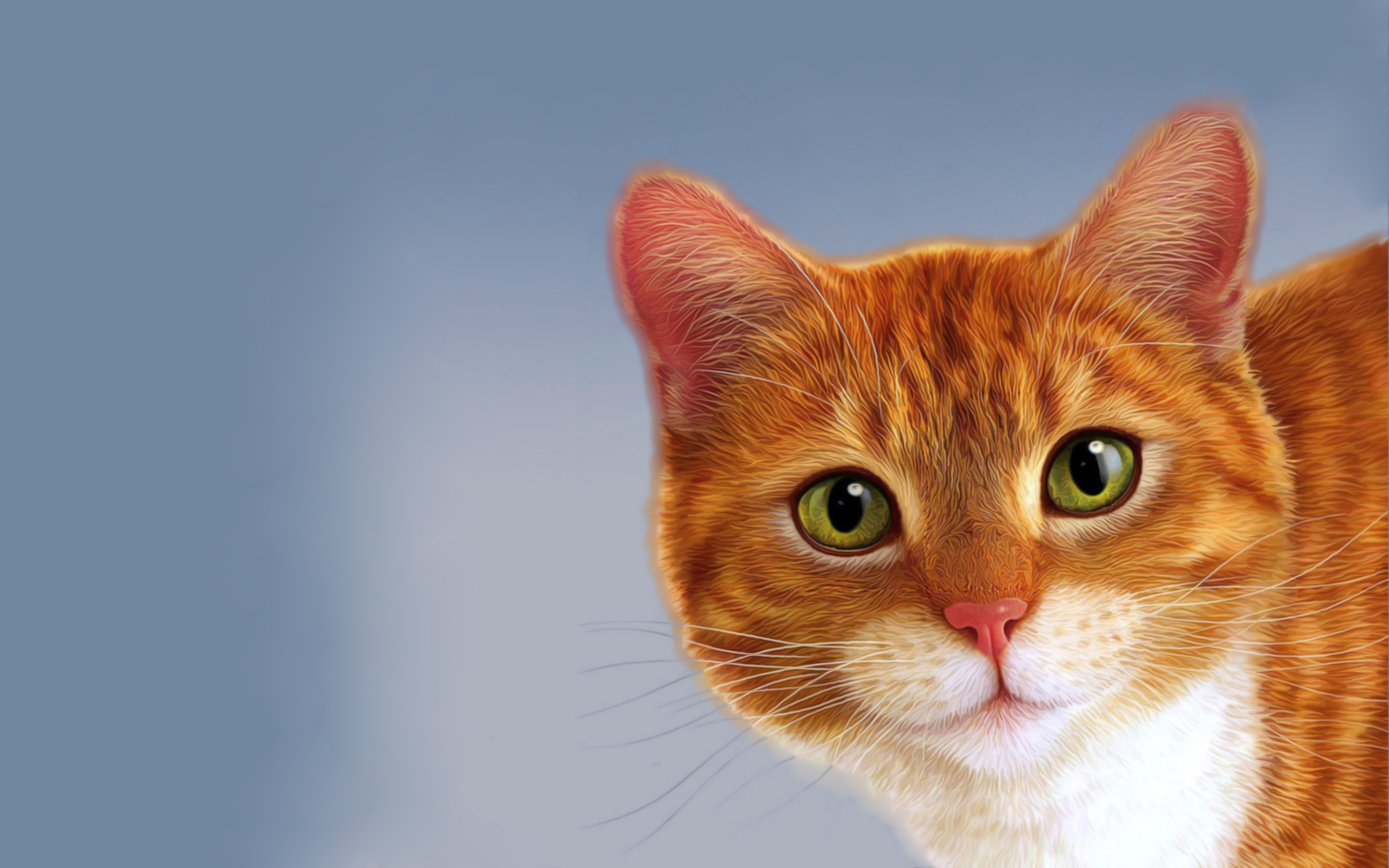 Baixe gratuitamente a imagem Animais, Gatos, Gato na área de trabalho do seu PC