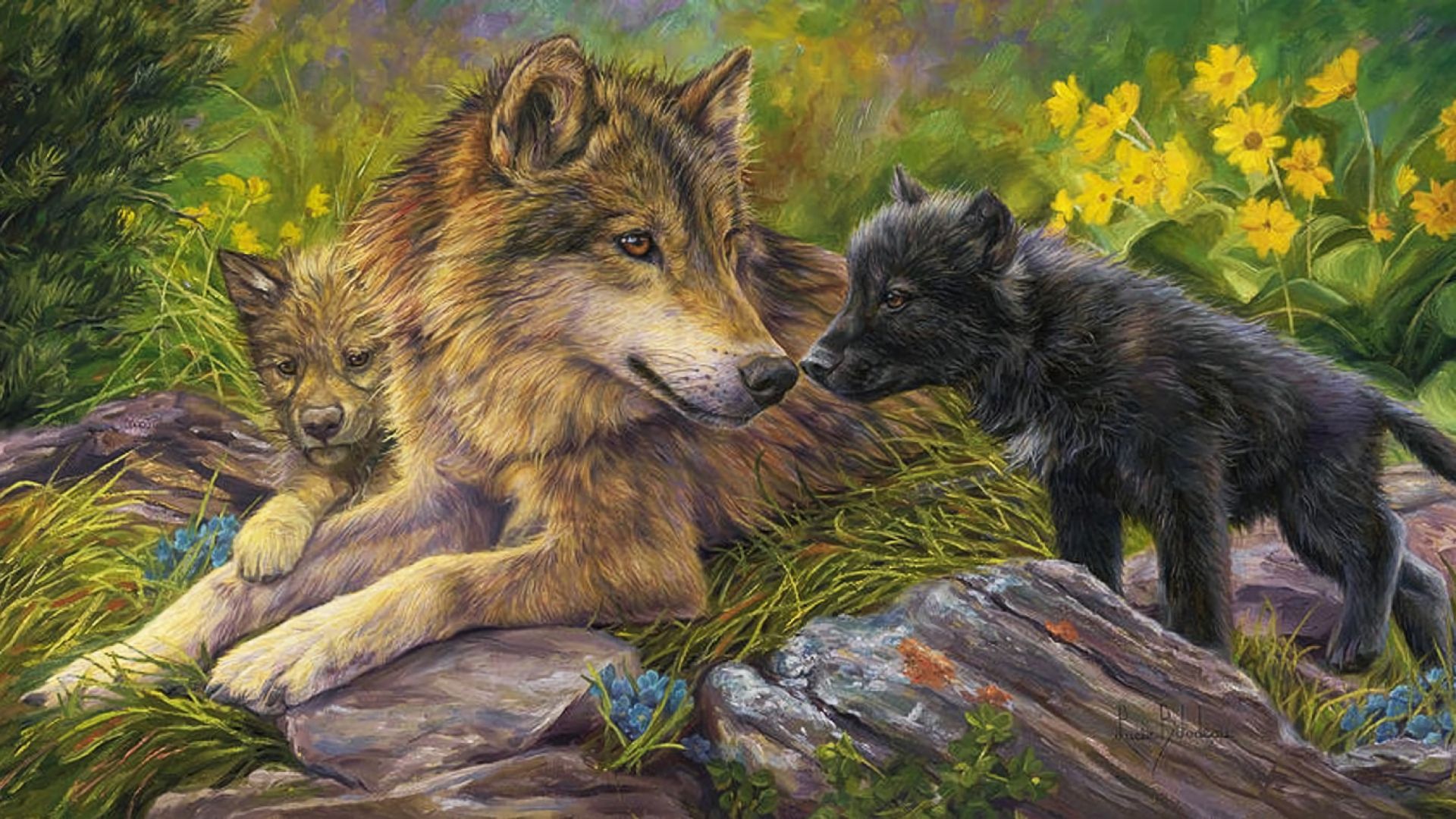 Download mobile wallpaper Love, Wolf, Animal, Puppy, Wolves for free.