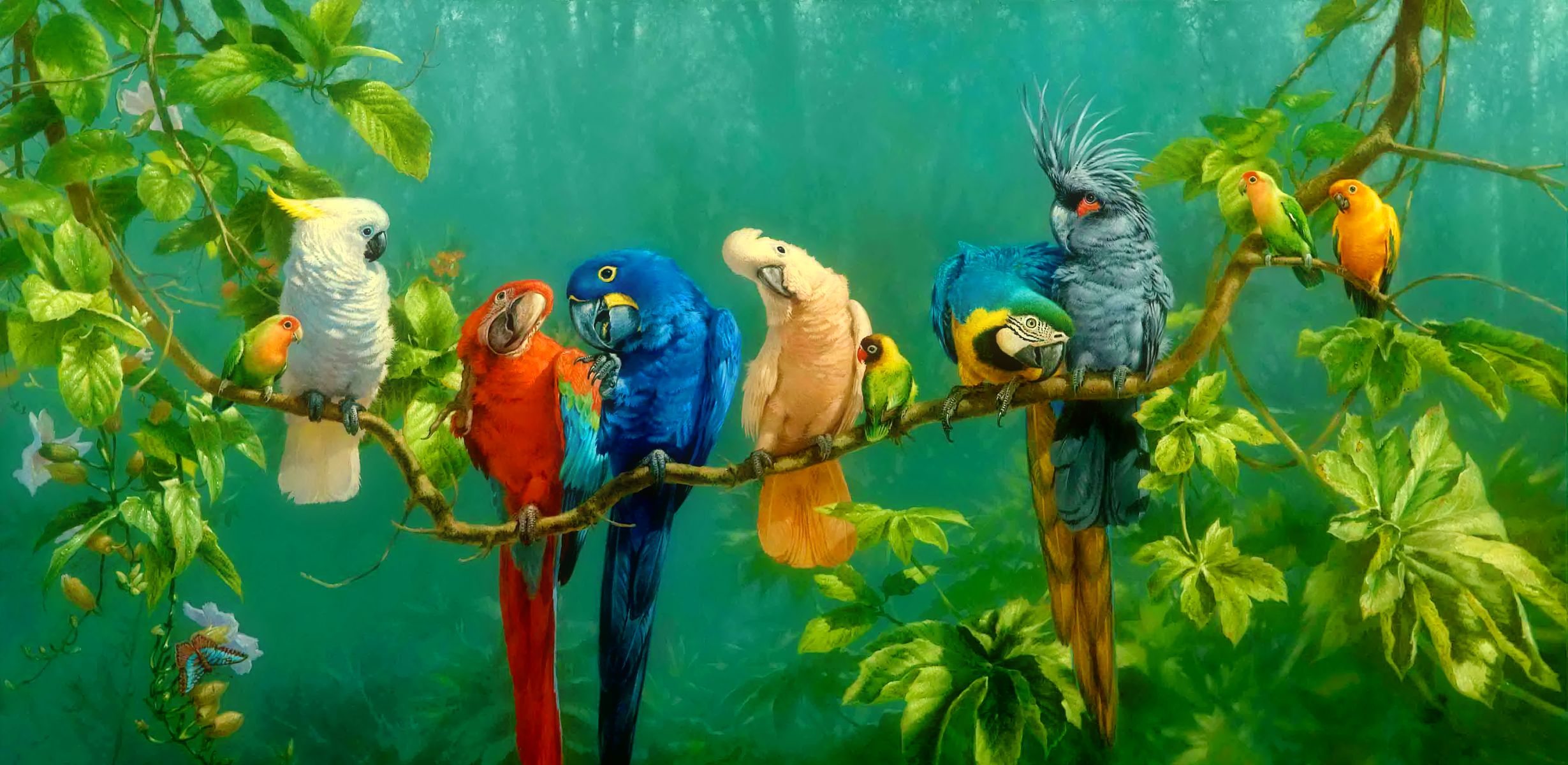 386817 descargar fondo de pantalla aves, vistoso, guacamayo, animales, loro, ave, rama, cacatúa, colores, hoja, tropico: protectores de pantalla e imágenes gratis