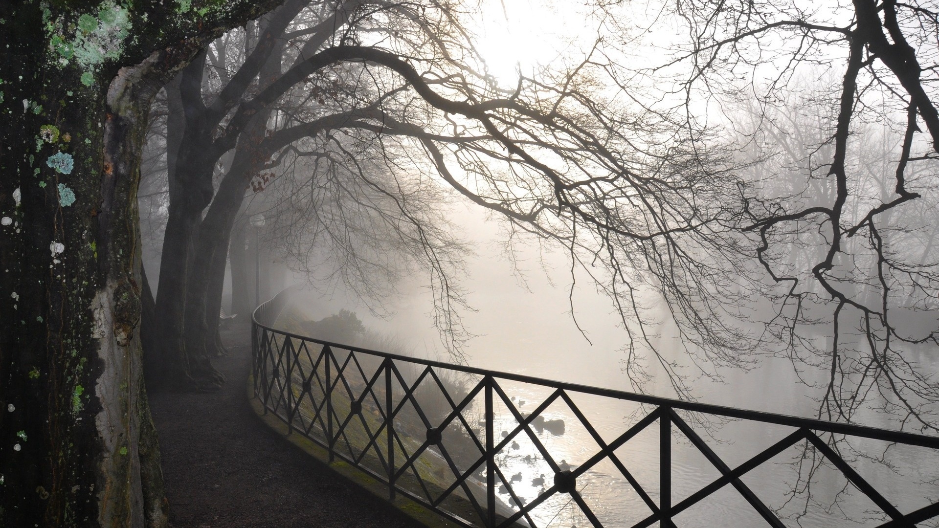 Téléchargez gratuitement l'image Brouillard, Terre/nature sur le bureau de votre PC