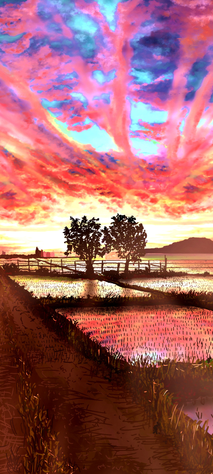 Handy-Wallpaper Natur, Wolke, Himmel, Sonnenuntergang, Animes, Reisfeld kostenlos herunterladen.
