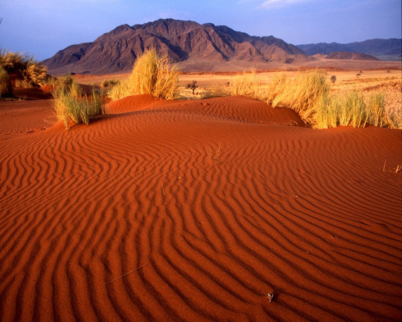 desert, earth, sand