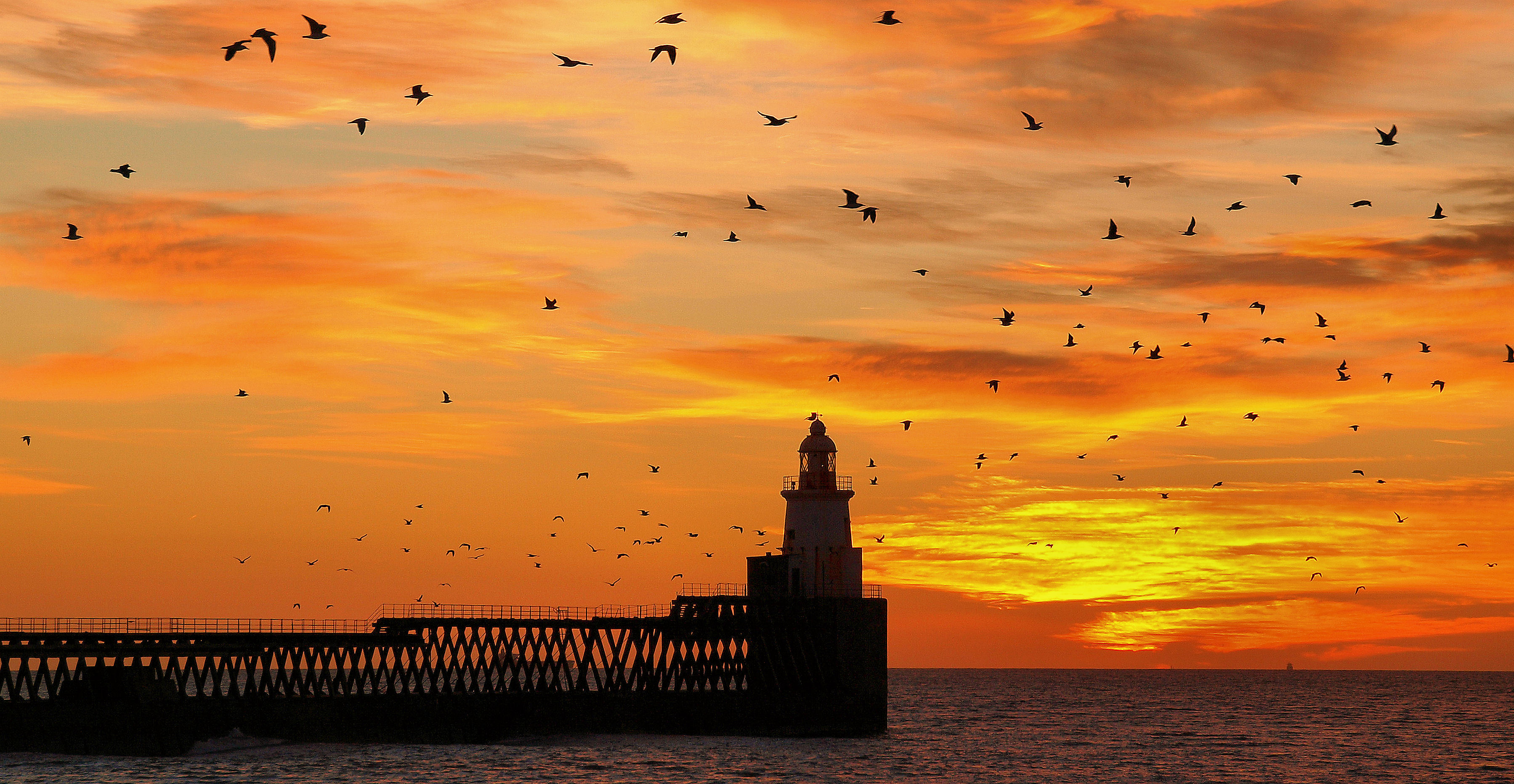 Download mobile wallpaper Sunset, Sky, Horizon, Bird, Ocean, Lighthouse, Man Made, Orange (Color) for free.
