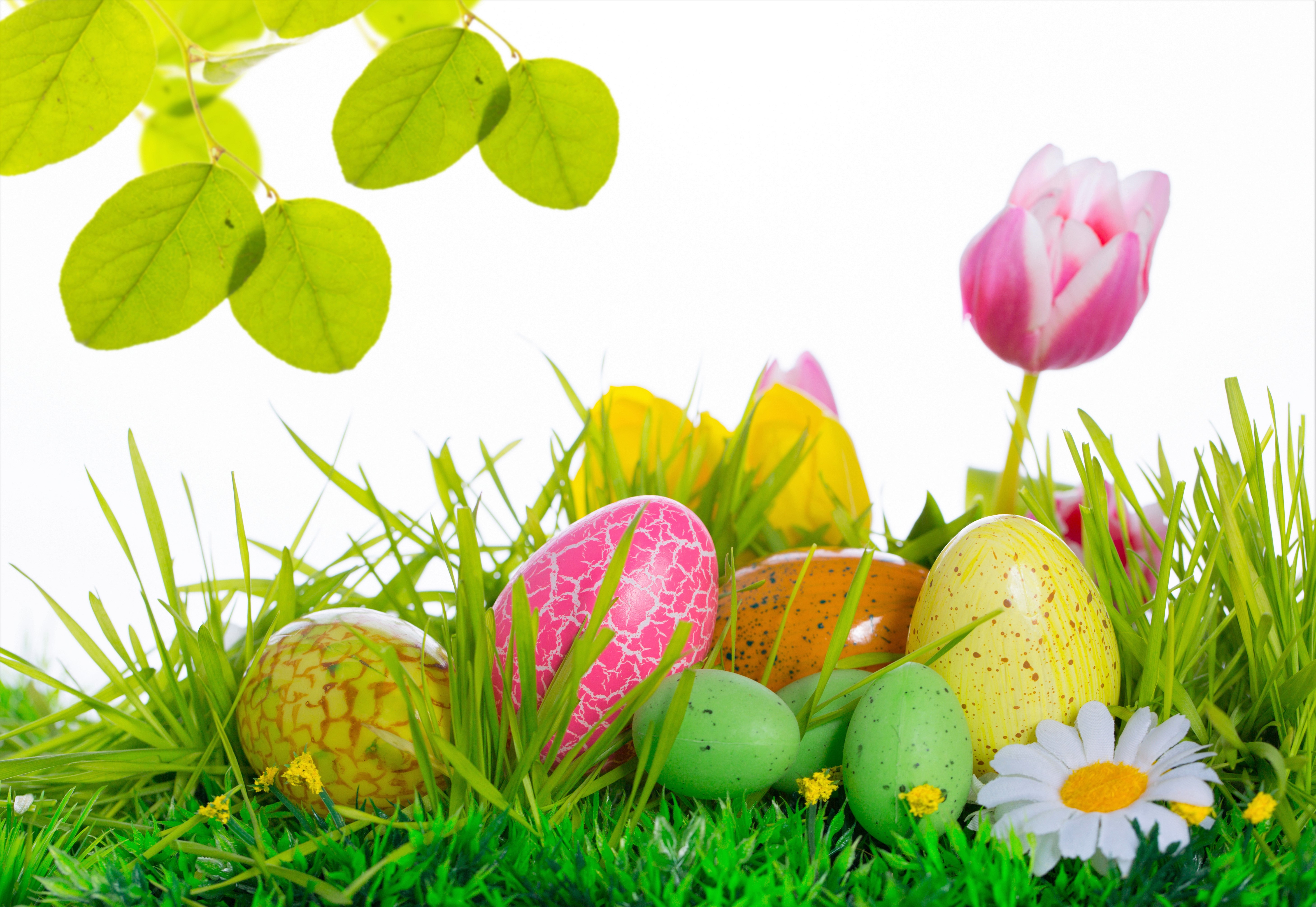Download mobile wallpaper Grass, Easter, Holiday, Leaf, Colorful, Tulip, Easter Egg for free.