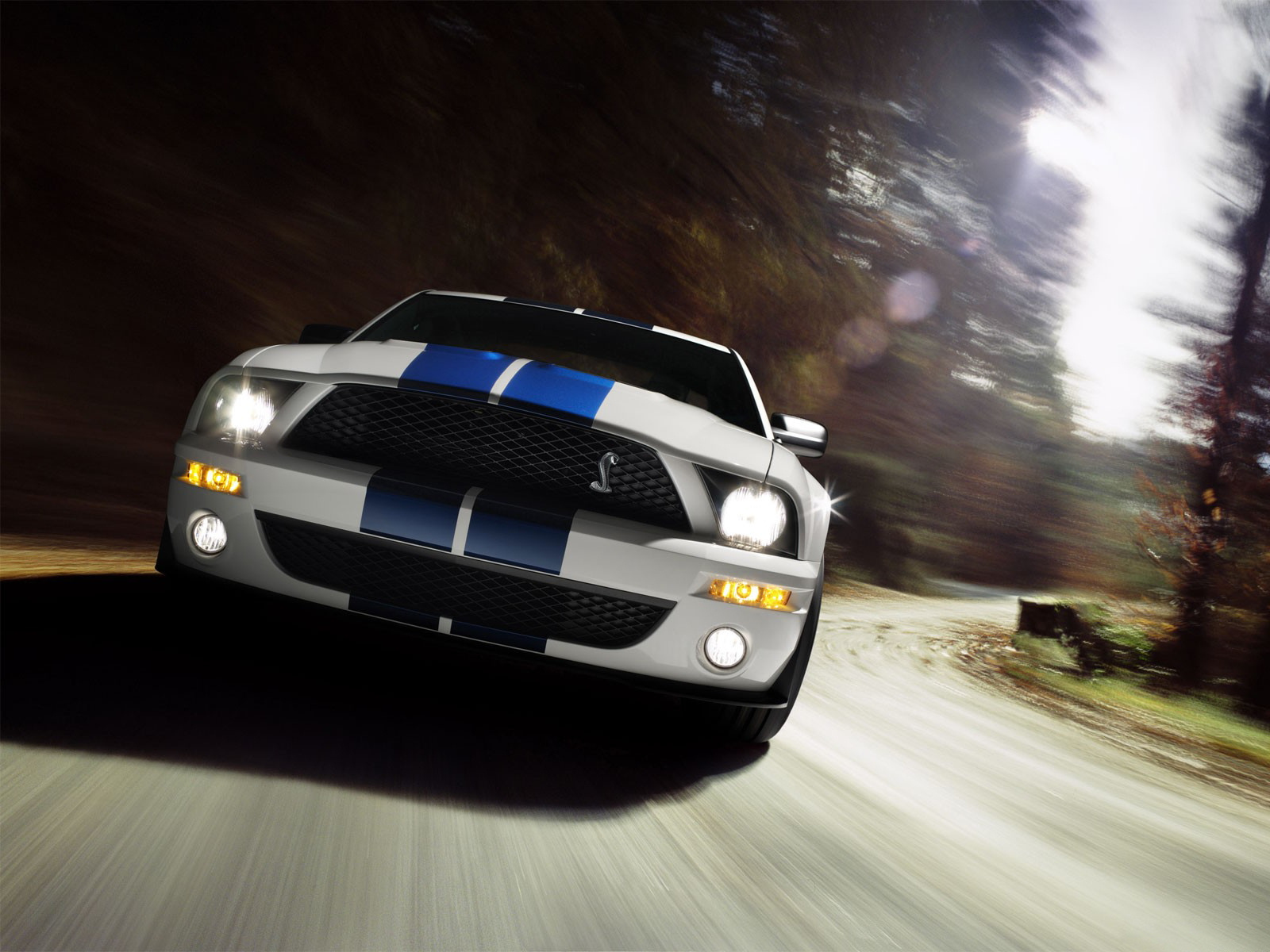 164801 Hintergrundbilder und Ford Mustang Bilder auf dem Desktop. Laden Sie  Bildschirmschoner kostenlos auf den PC herunter