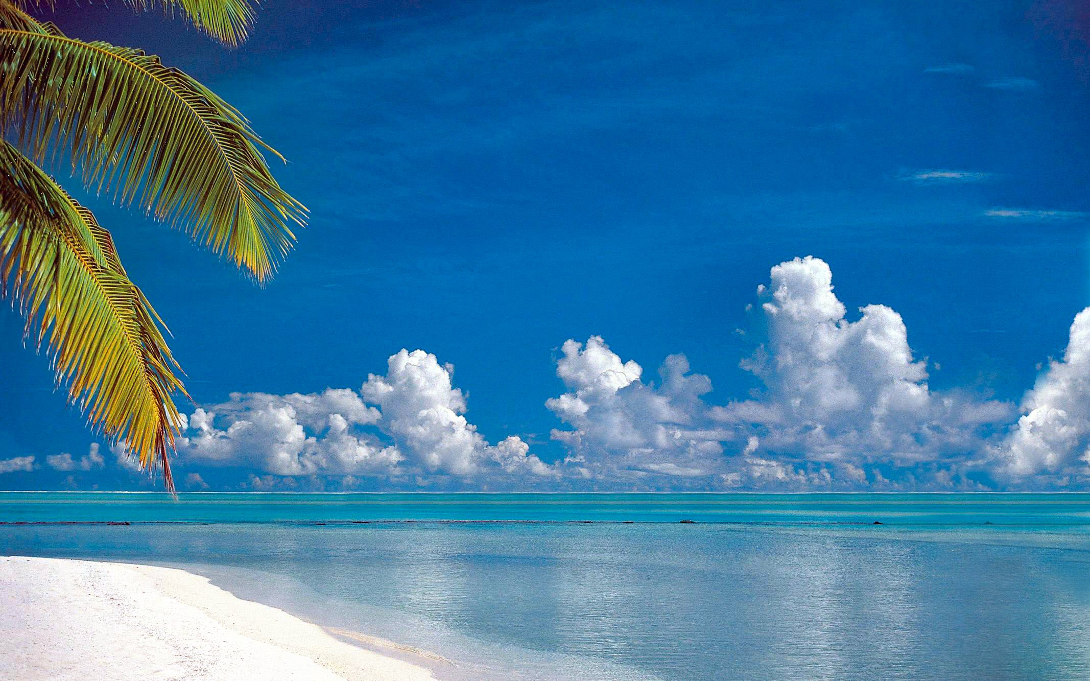 635555 скачать картинку лето, пляж, облака, горизонт, пальмы, отражение, тропический, океан, синий, земля/природа, небо, бирюзовый - обои и заставки бесплатно