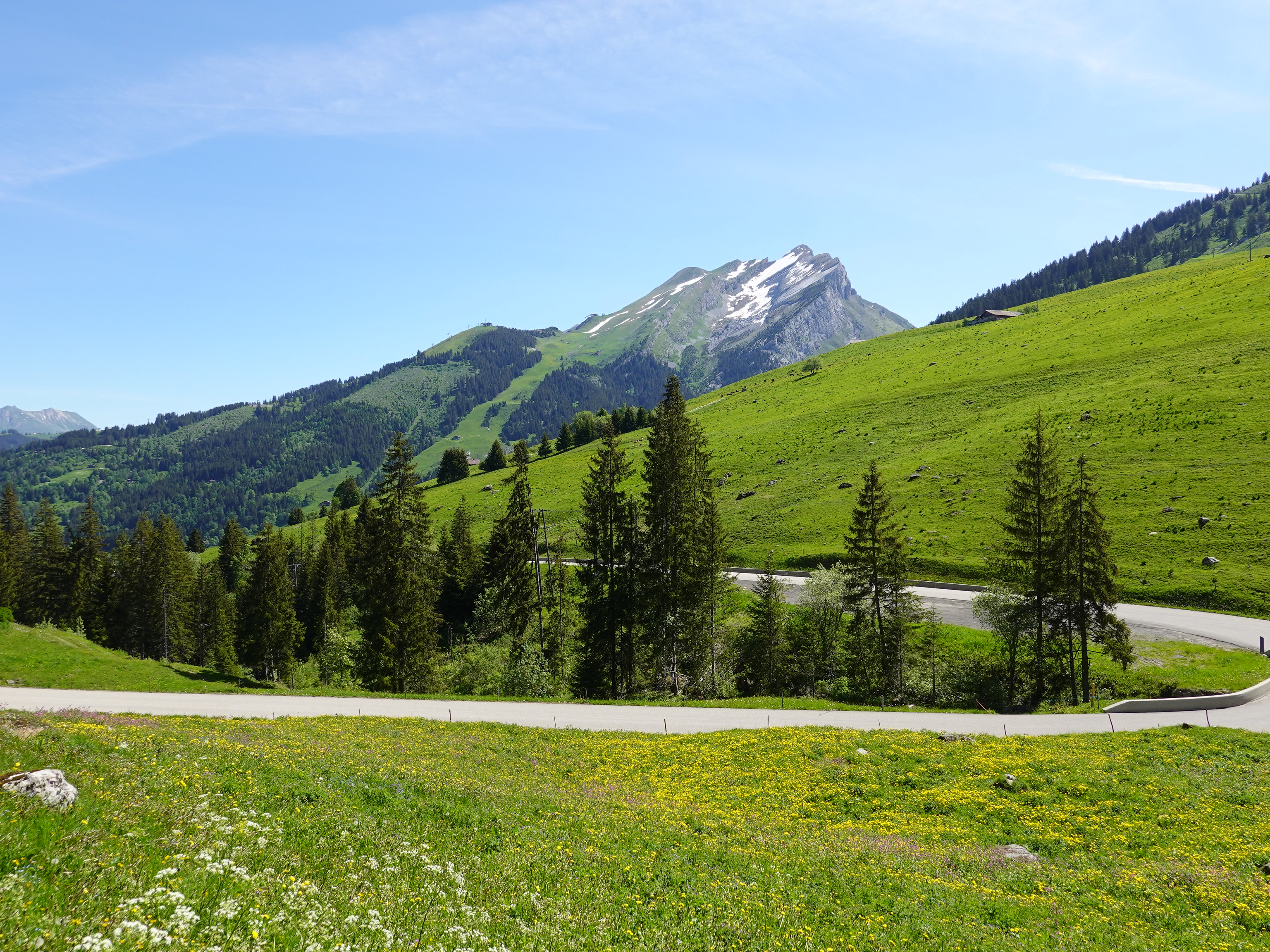 slope, nature, trees, mountains, road