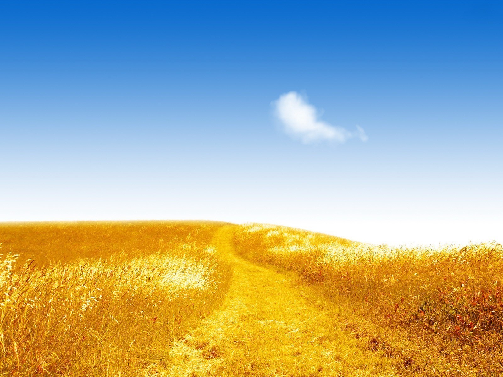 Laden Sie das Natur, Weizen, Landschaft-Bild kostenlos auf Ihren PC-Desktop herunter