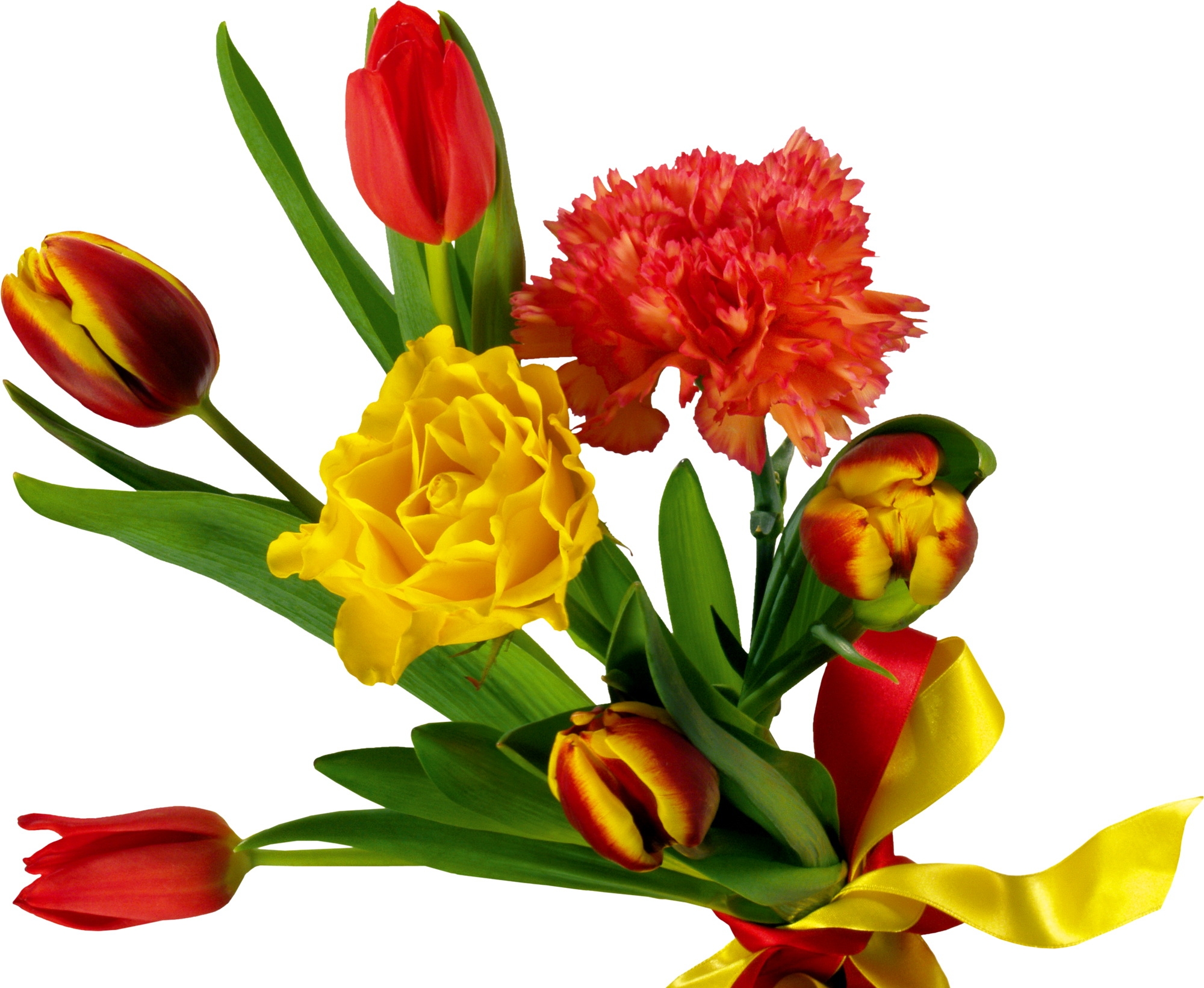 Free download wallpaper Flowers, Tulips, Carnations, Bouquet, Bow, Tape on your PC desktop