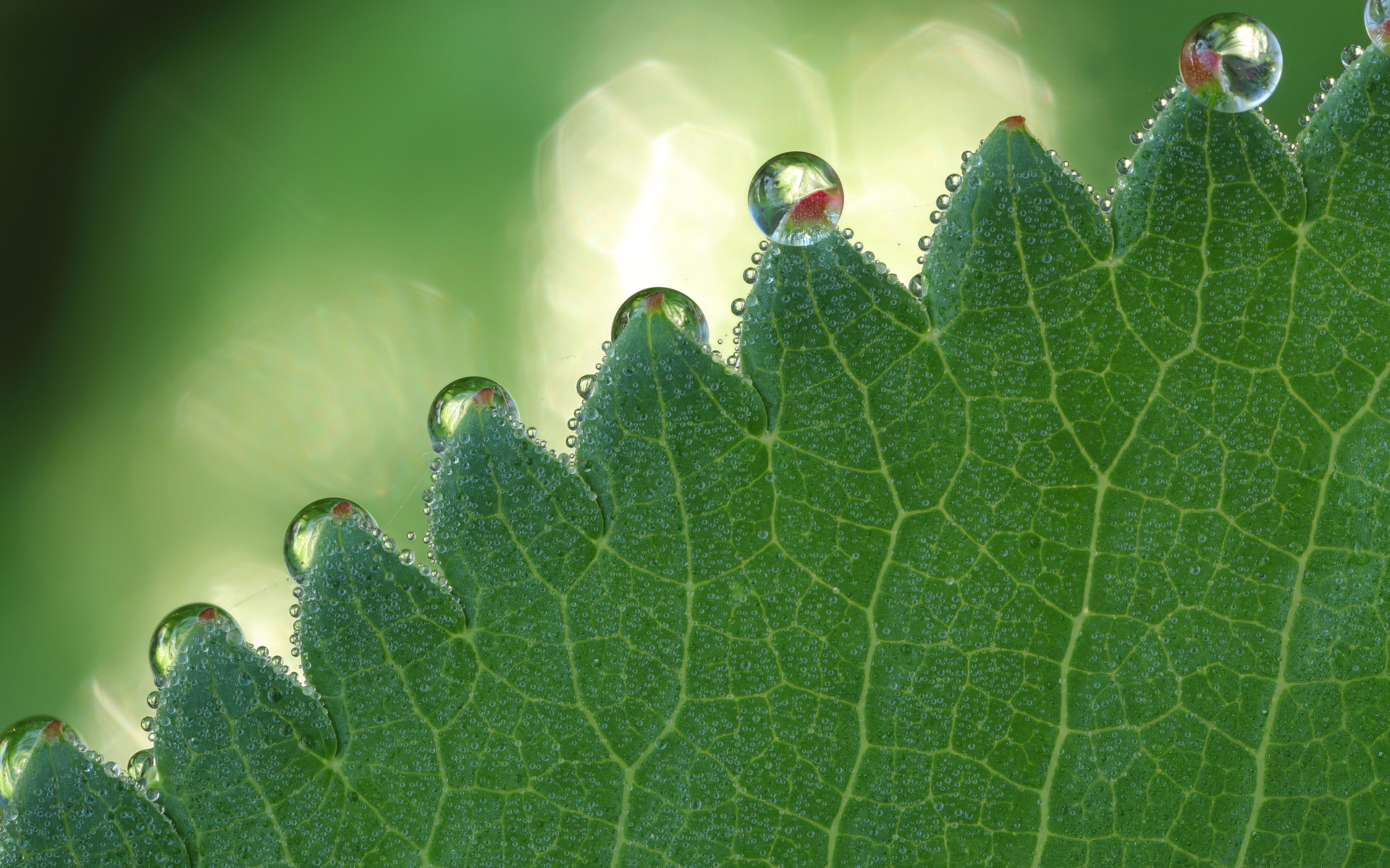 Free download wallpaper Earth, Water Drop on your PC desktop