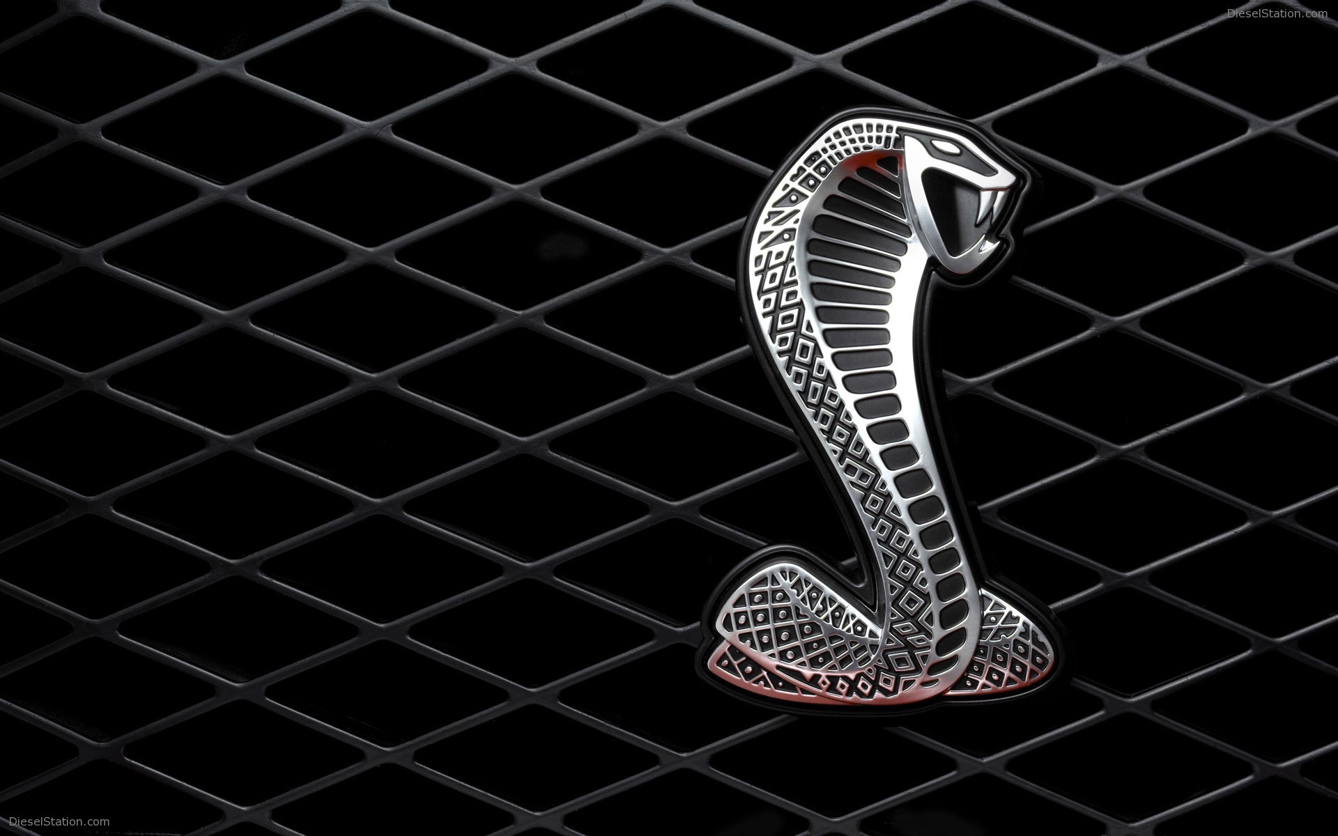 Популярные заставки и фоны Кобра (Cobra) на компьютер