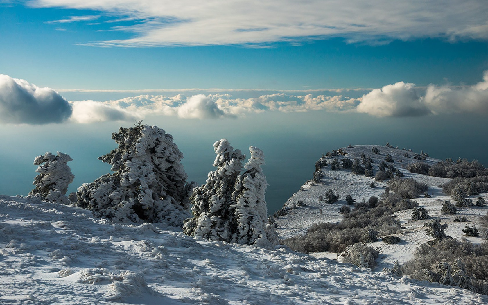 Download mobile wallpaper Winter, Snow, Horizon, Tree, Earth, Cloud for free.