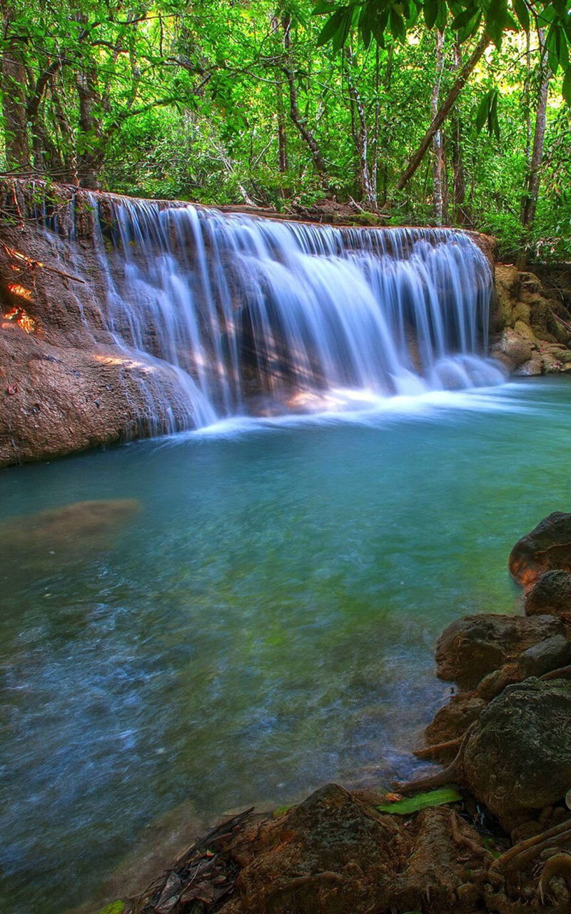 Handy-Wallpaper Wasserfälle, Wasserfall, Baum, Tropisch, Erde/natur kostenlos herunterladen.