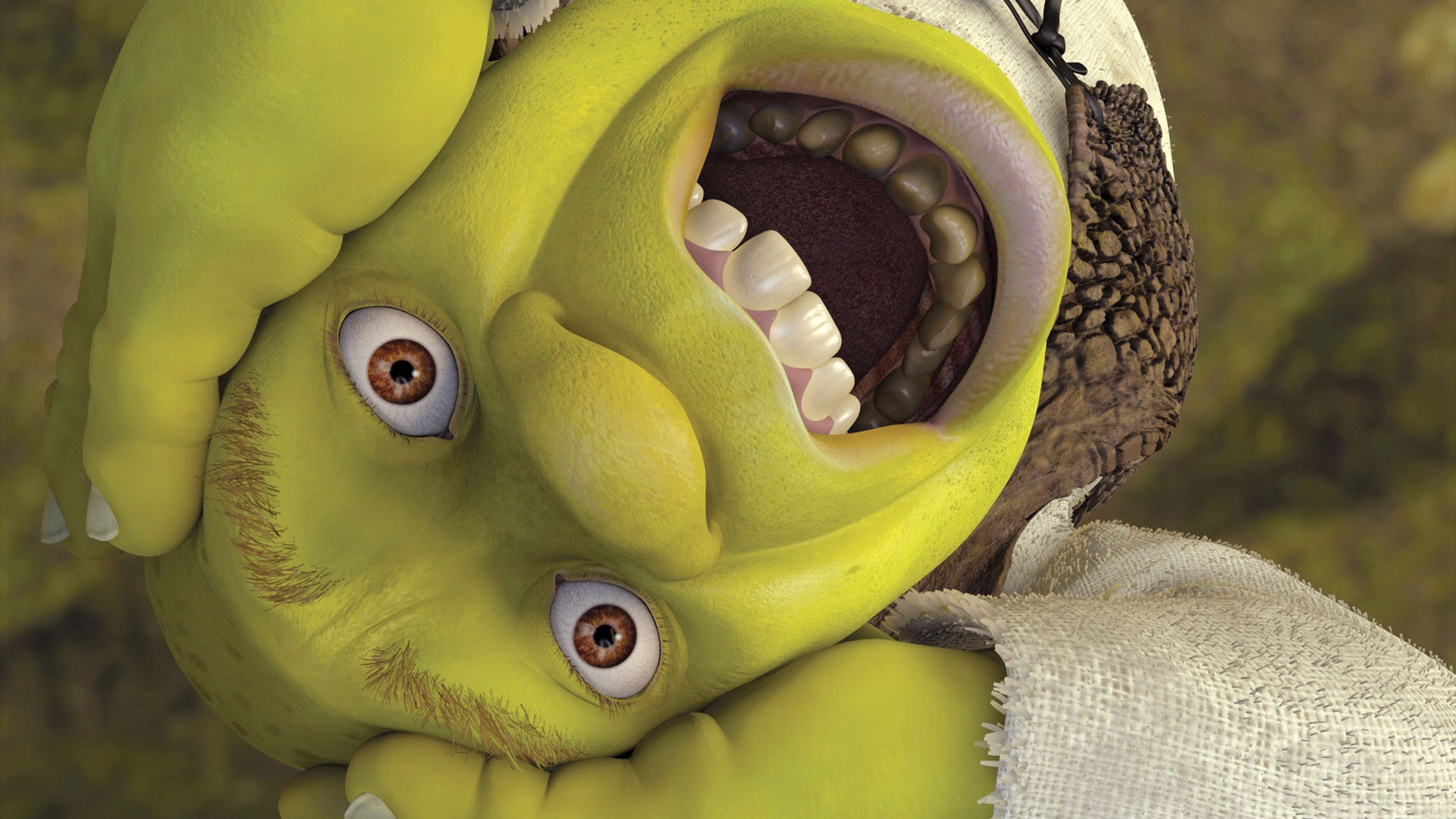 Популярні заставки і фони Shrek: Reekin' Havoc на комп'ютер