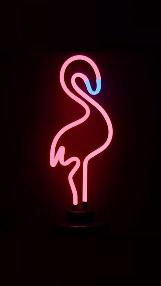 Download mobile wallpaper Birds, Flamingo, Neon, Animal, Minimalist for free.