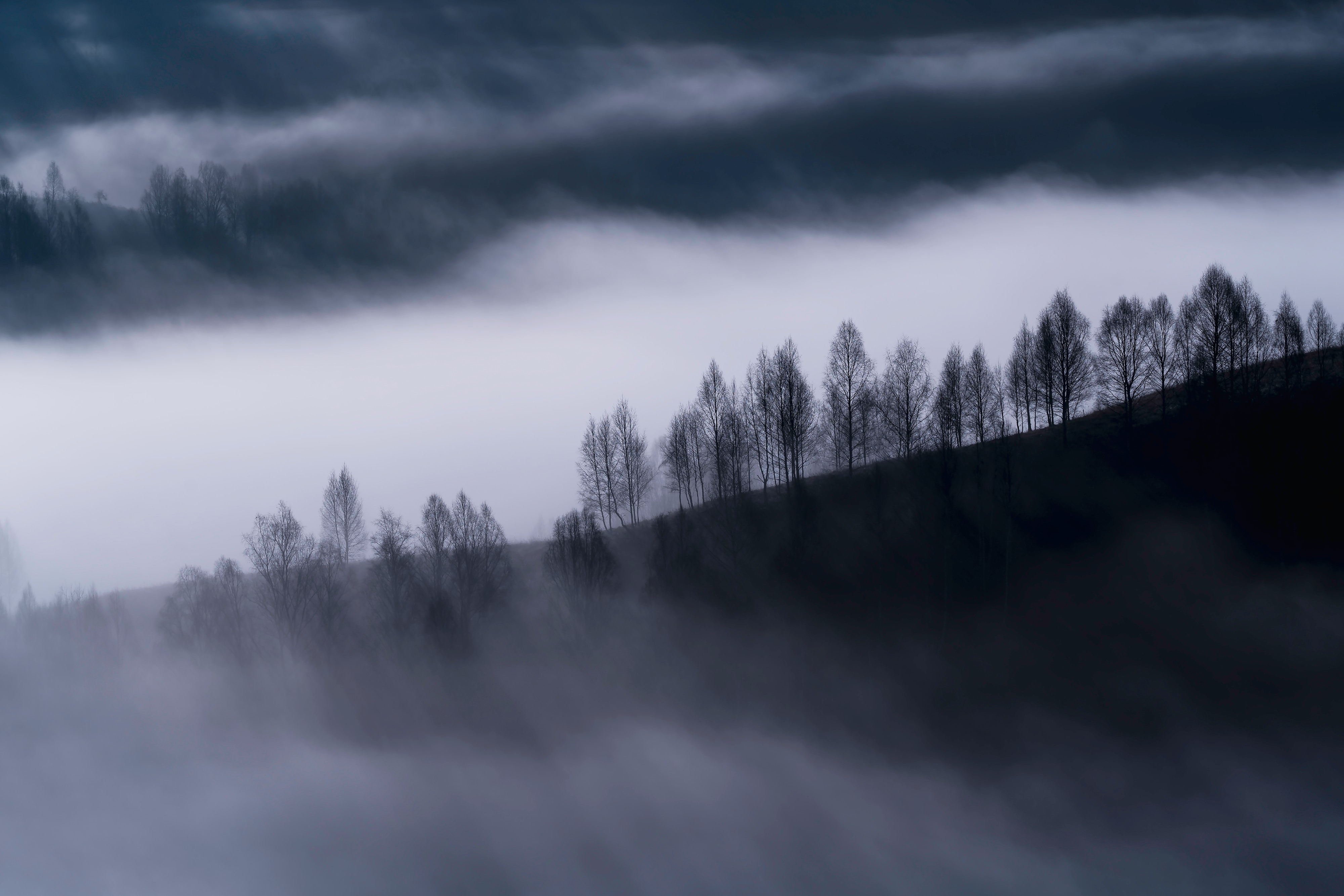 Free download wallpaper Nature, Trees, Clouds, Hills, Fog on your PC desktop