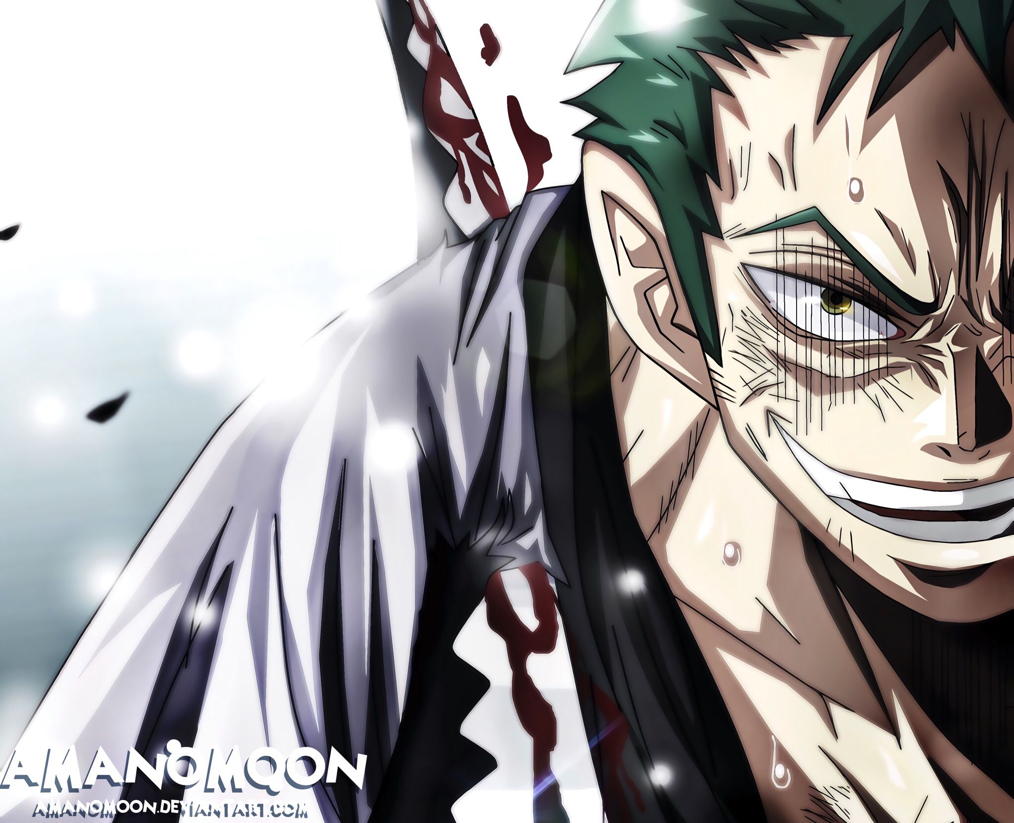 Descarga gratuita de fondo de pantalla para móvil de Animado, One Piece, Roronoa Zoro.