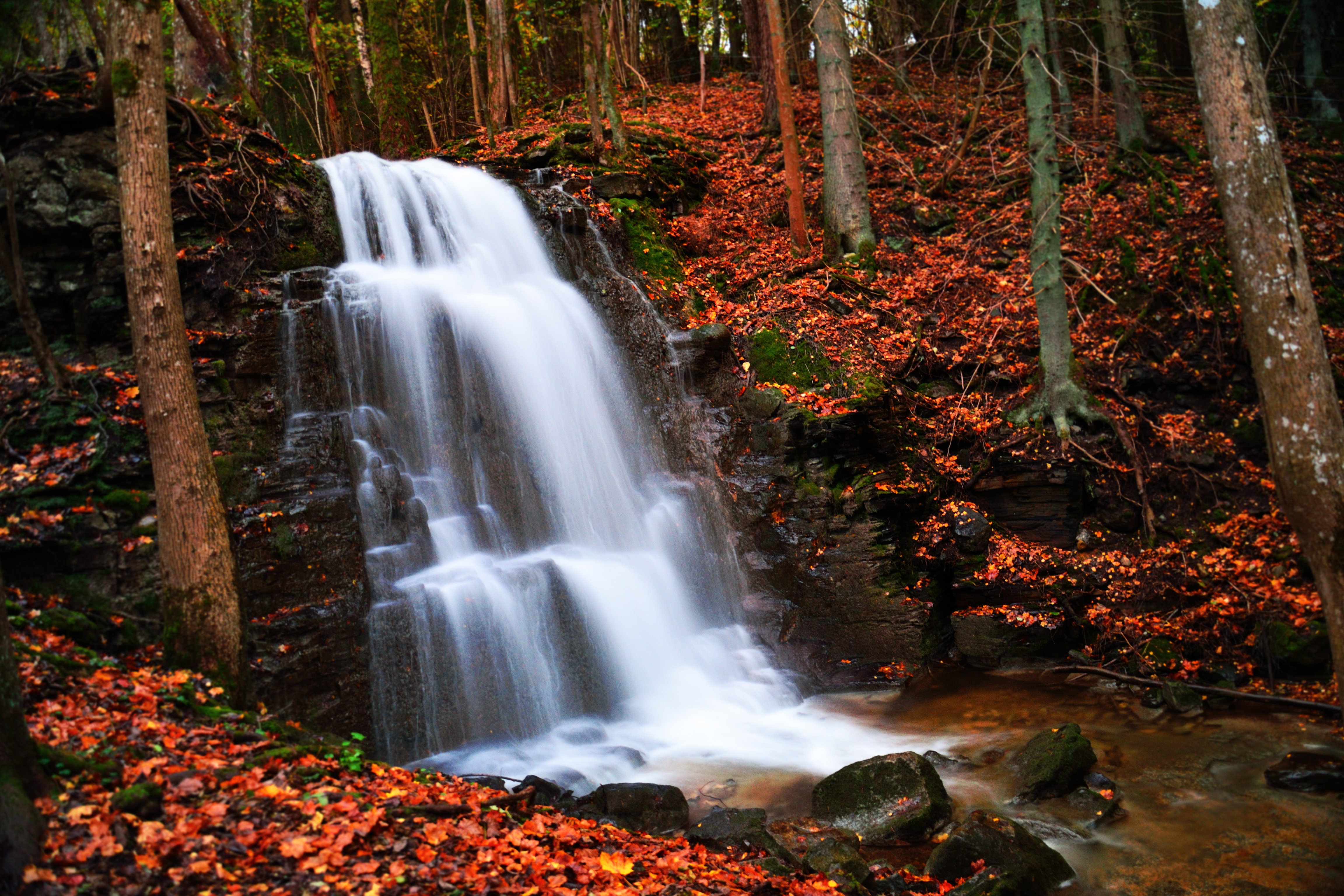 Скачать картинку Осень, Водопады, Водопад, Лес, Красный, Дерево, Земля/природа, Оранжевый Цвет) в телефон бесплатно.