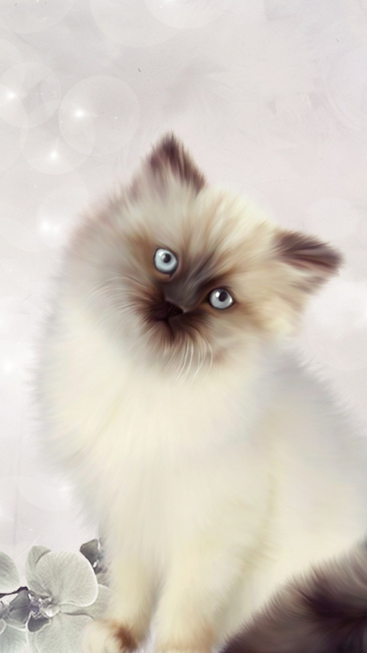 Download mobile wallpaper Cats, Cat, Kitten, Animal, Persian Cat for free.