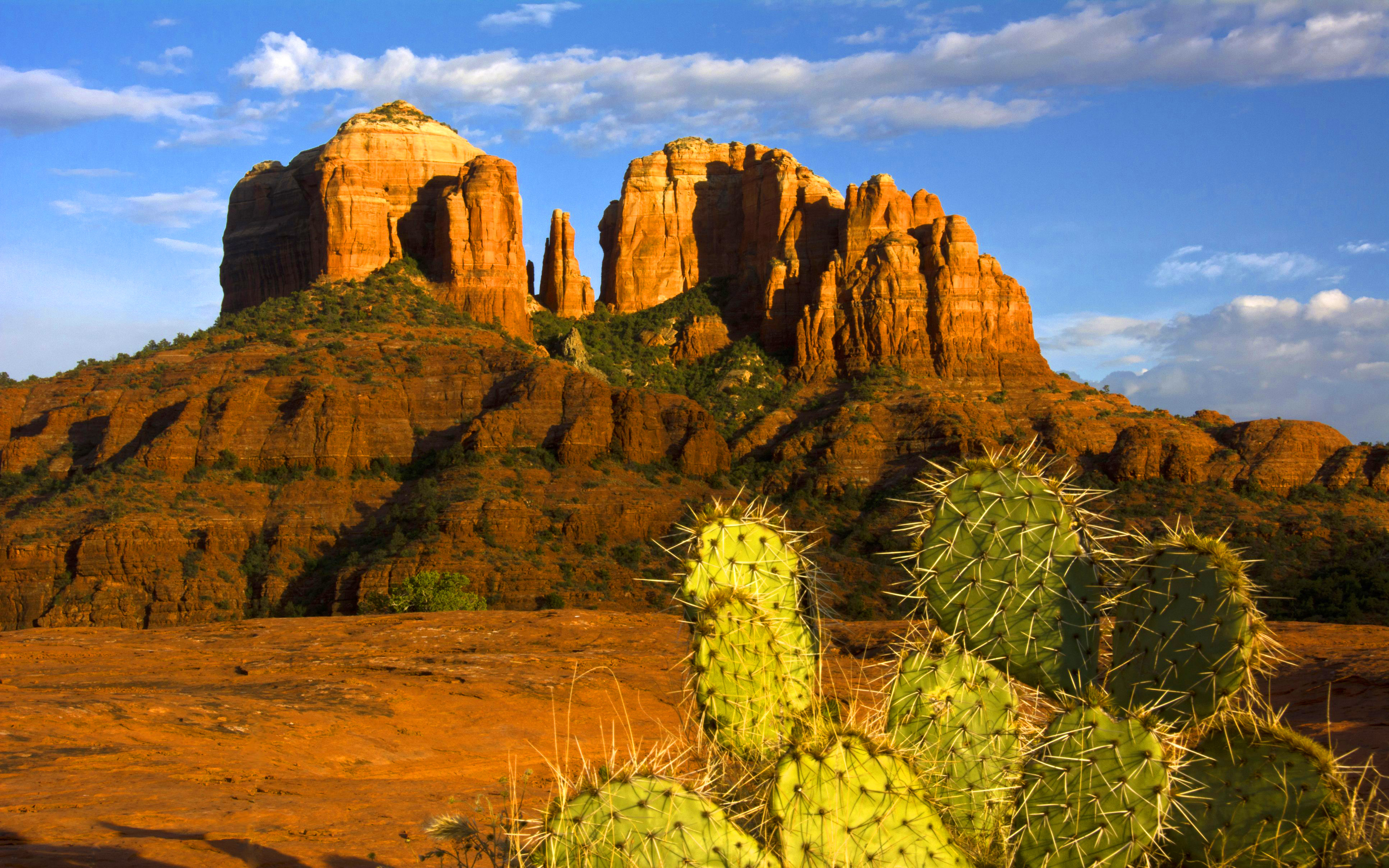 774111 Bild herunterladen erde/natur, steppe, arizona, kaktus, sedona - Hintergrundbilder und Bildschirmschoner kostenlos