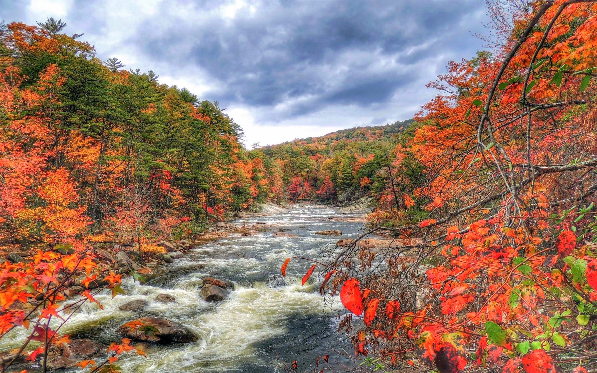 Téléchargez des papiers peints mobile Automne, Terre/nature, Rivière gratuitement.