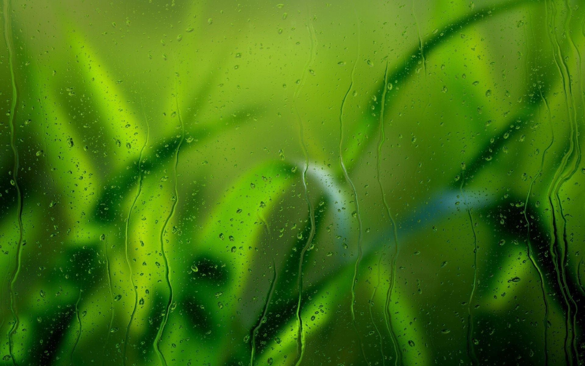 Download mobile wallpaper Glass, Grass, Drops, Macro, Rain for free.