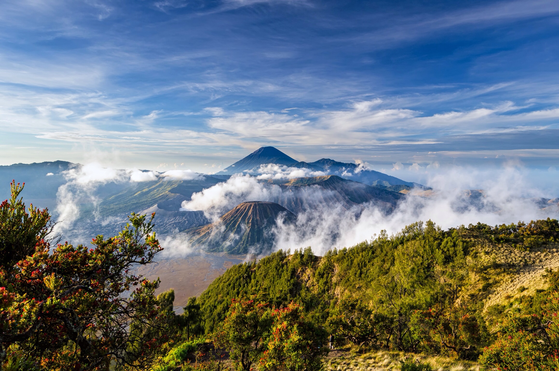 358444壁紙のダウンロード地球, ブロモ山, インドネシア, ジャワ (インドネシア), 風景, 成層火山, 火山-スクリーンセーバーと写真を無料で