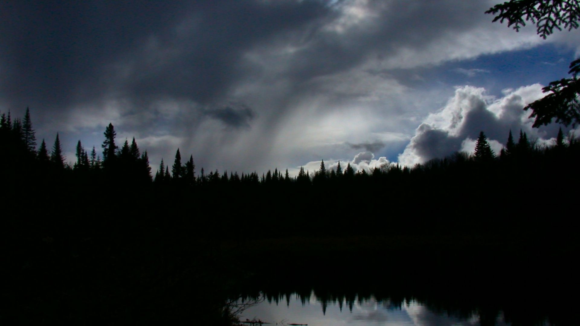 Téléchargez gratuitement l'image Silhouette, Forêt, Nuage, Ciel, Terre/nature, Réflection sur le bureau de votre PC