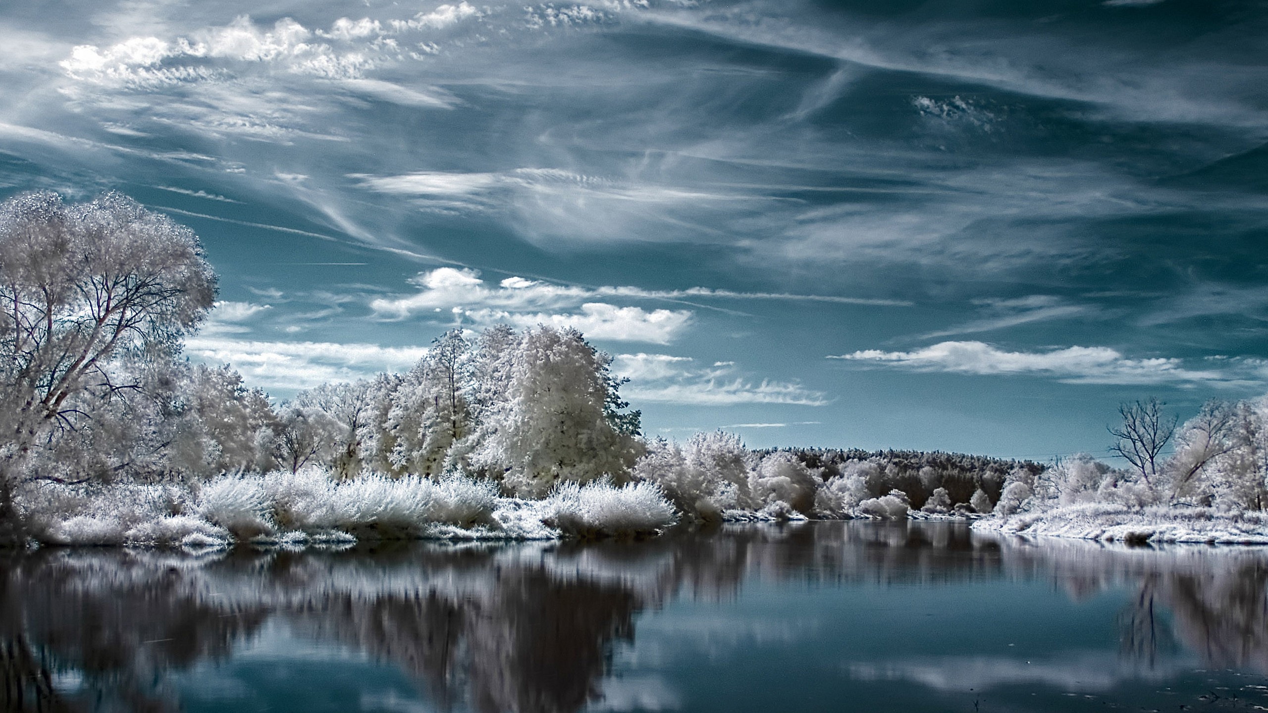Скачать обои бесплатно Зима, Озеро, Дерево, Земля/природа картинка на рабочий стол ПК