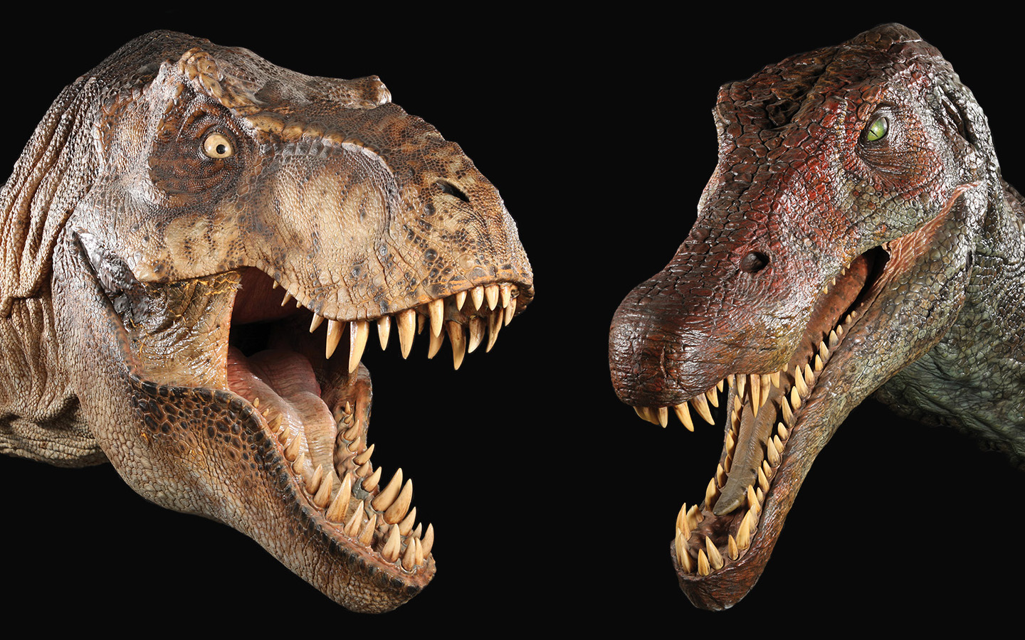 267515 descargar imagen dinosaurios, animales, tirano saurio rex, extinguido: fondos de pantalla y protectores de pantalla gratis