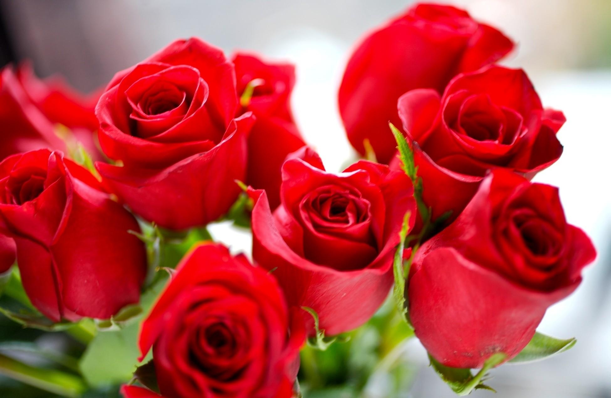 Téléchargez gratuitement l'image Brillant, Bourgeons, Fleurs, Bouquet, Roses sur le bureau de votre PC