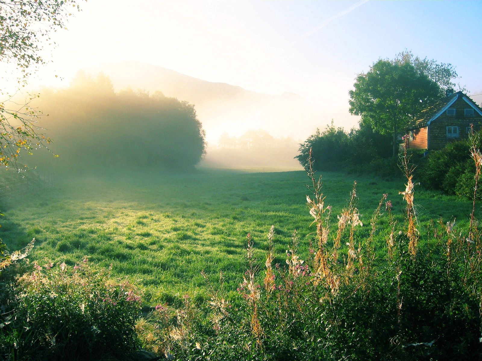 59036 Hintergrundbild herunterladen natur, morgendämmerung, nebel, grüne, grünen, haus, morgen - Bildschirmschoner und Bilder kostenlos