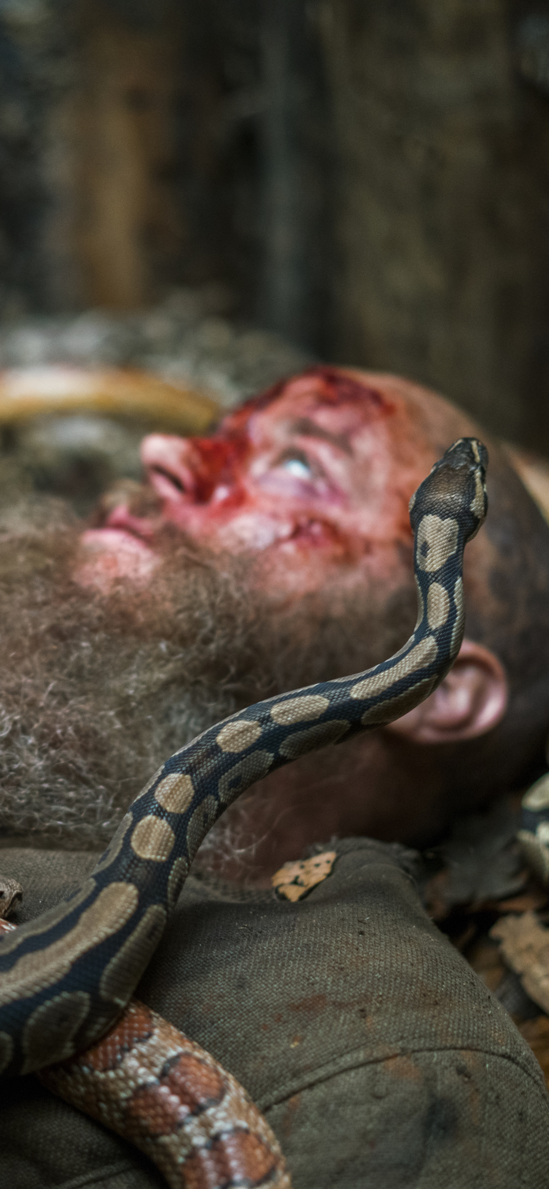 Download mobile wallpaper Snake, Tv Show, Vikings for free.