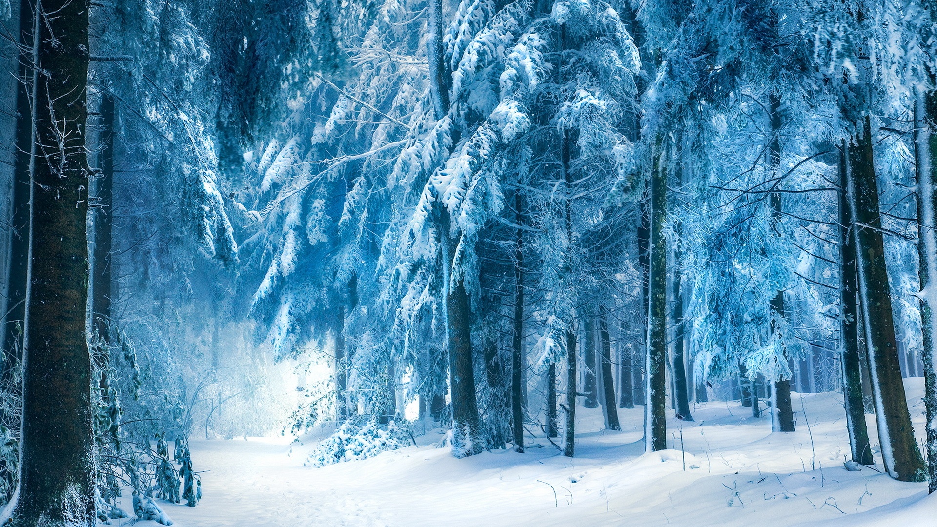 Download mobile wallpaper Winter, Earth for free.