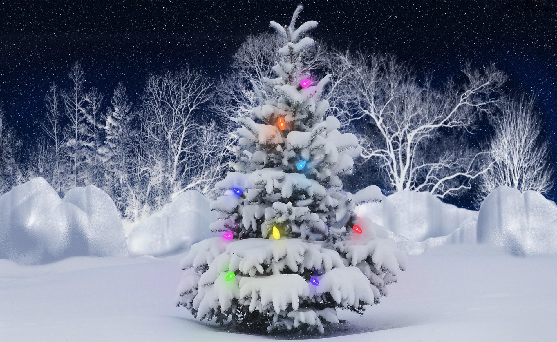 holidays, hoarfrost, trees, snow, frost, christmas tree, garland 5K
