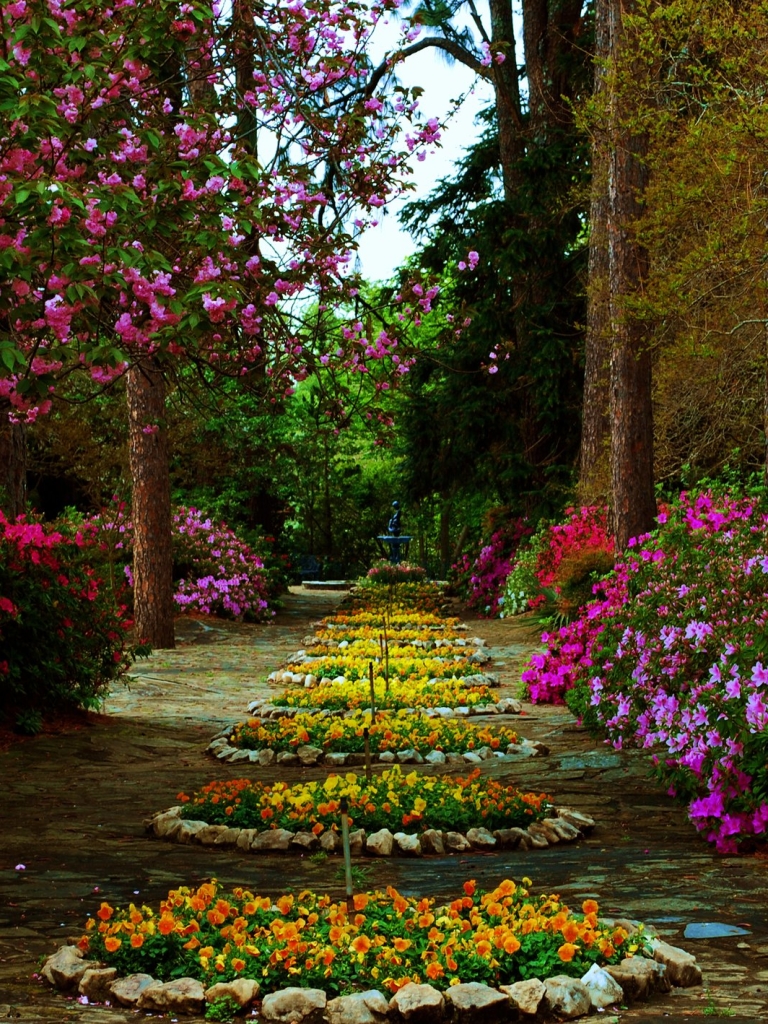 Handy-Wallpaper Blume, Garten, Gelbe Blume, Lila Blume, Rote Blume, Menschengemacht, Pinke Blume kostenlos herunterladen.