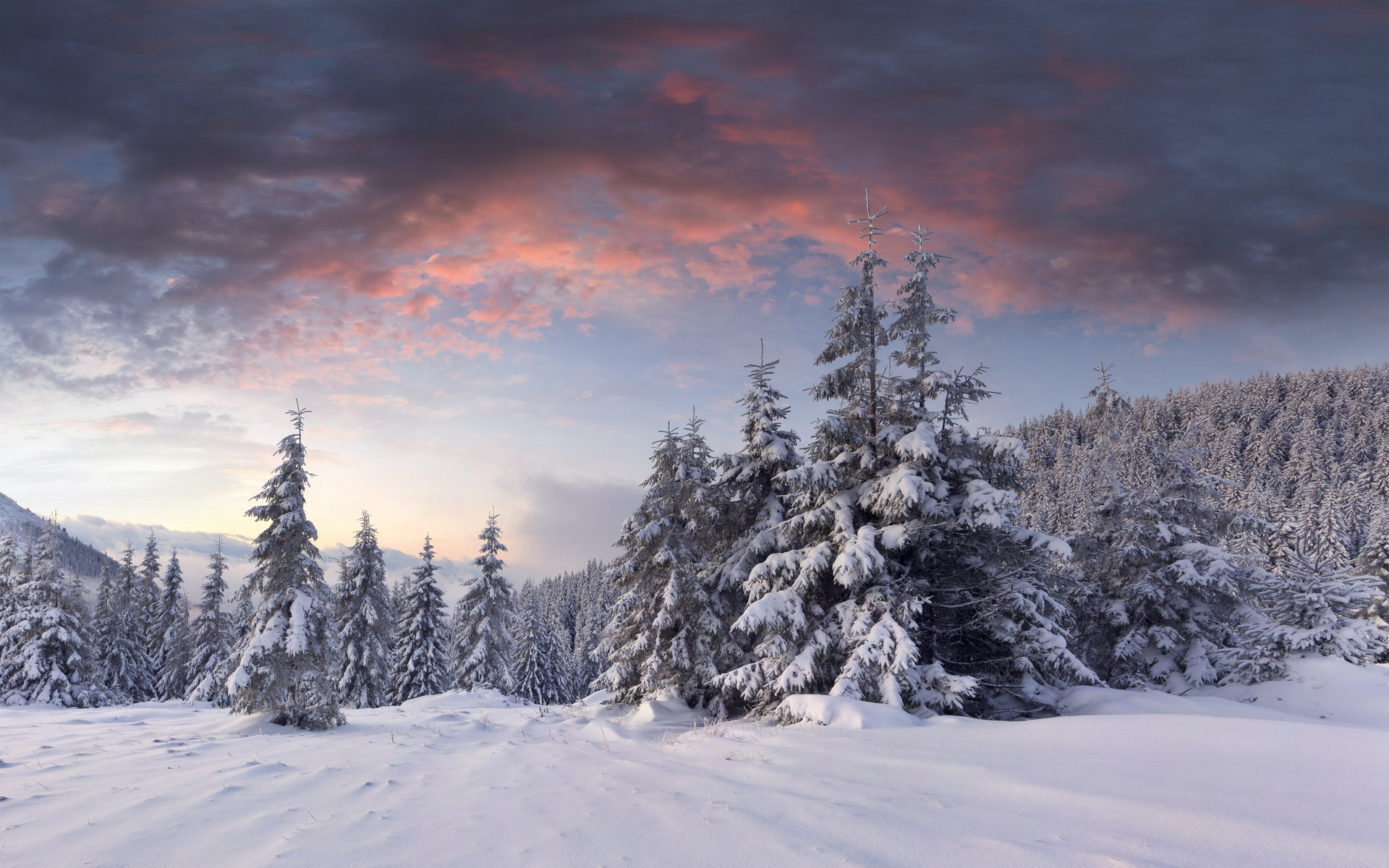 Free download wallpaper Winter, Earth on your PC desktop