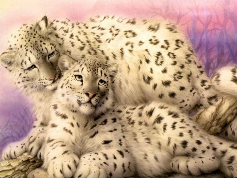 Téléchargez des papiers peints mobile Animaux, Snow Leopard, Dessins gratuitement.