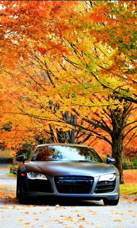 Download mobile wallpaper Audi, Vehicles for free.