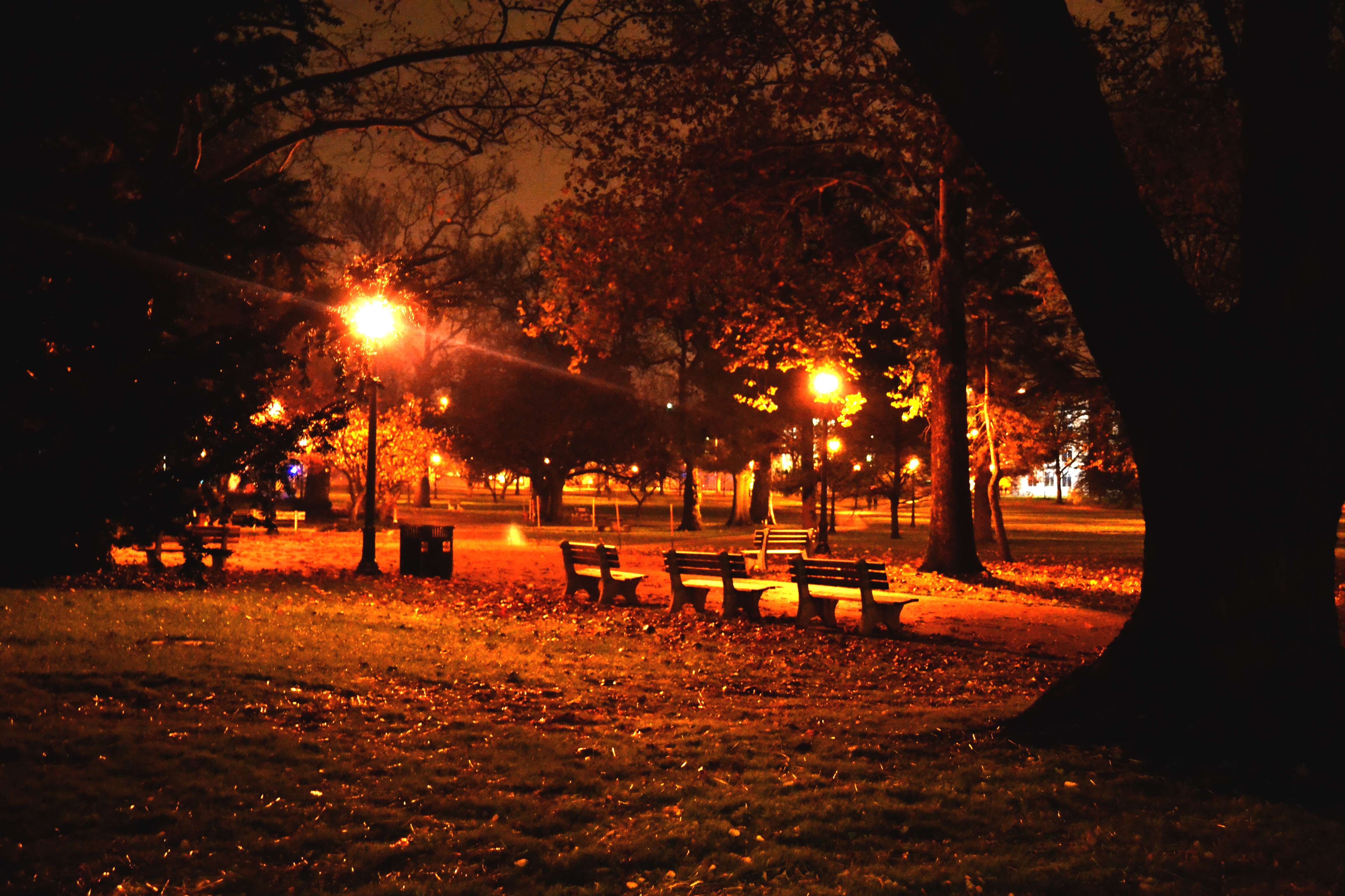 無料モバイル壁紙街灯柱, ベンチ, 光, 公園, 写真撮影, 夜をダウンロードします。