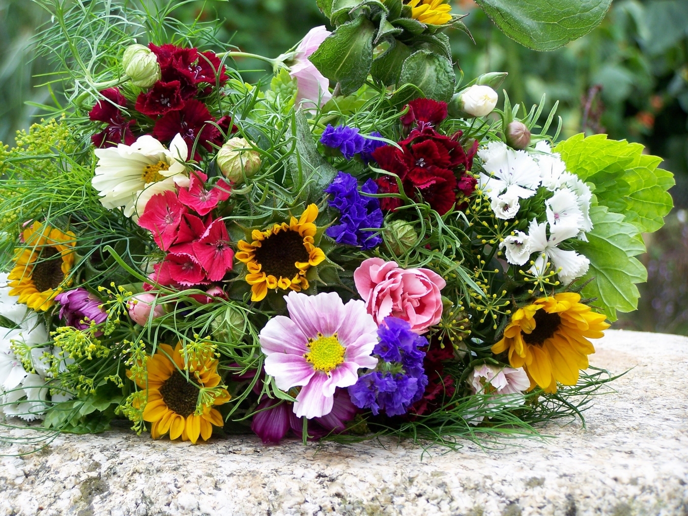 Descarga gratuita de fondo de pantalla para móvil de Plantas, Flores, Bouquets.