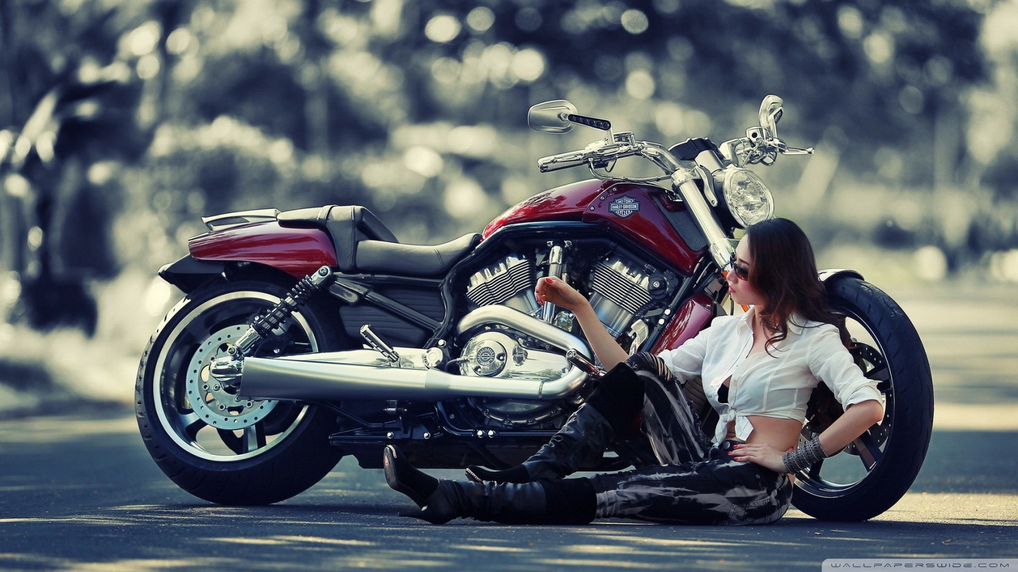 586690 descargar imagen mujeres, harley davidson, chicas y motocicletas: fondos de pantalla y protectores de pantalla gratis