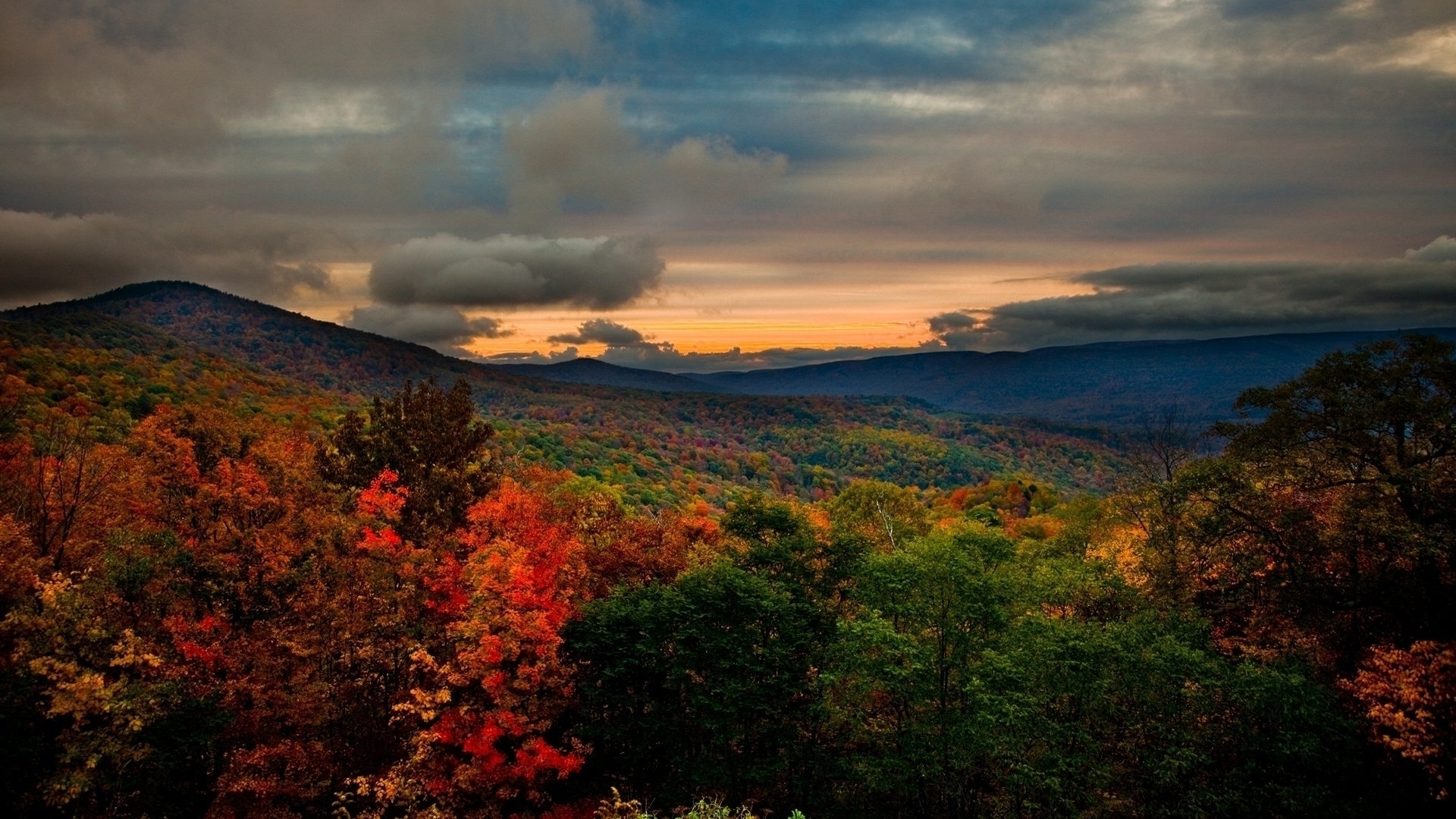 Laden Sie das Herbst, Erde/natur-Bild kostenlos auf Ihren PC-Desktop herunter