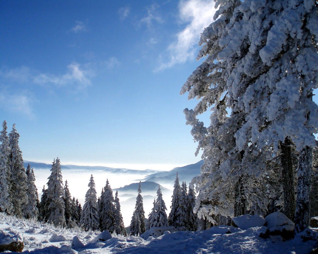 138021 Hintergrundbild herunterladen natur, bäume, mountains, schnee, nebel, höhe - Bildschirmschoner und Bilder kostenlos
