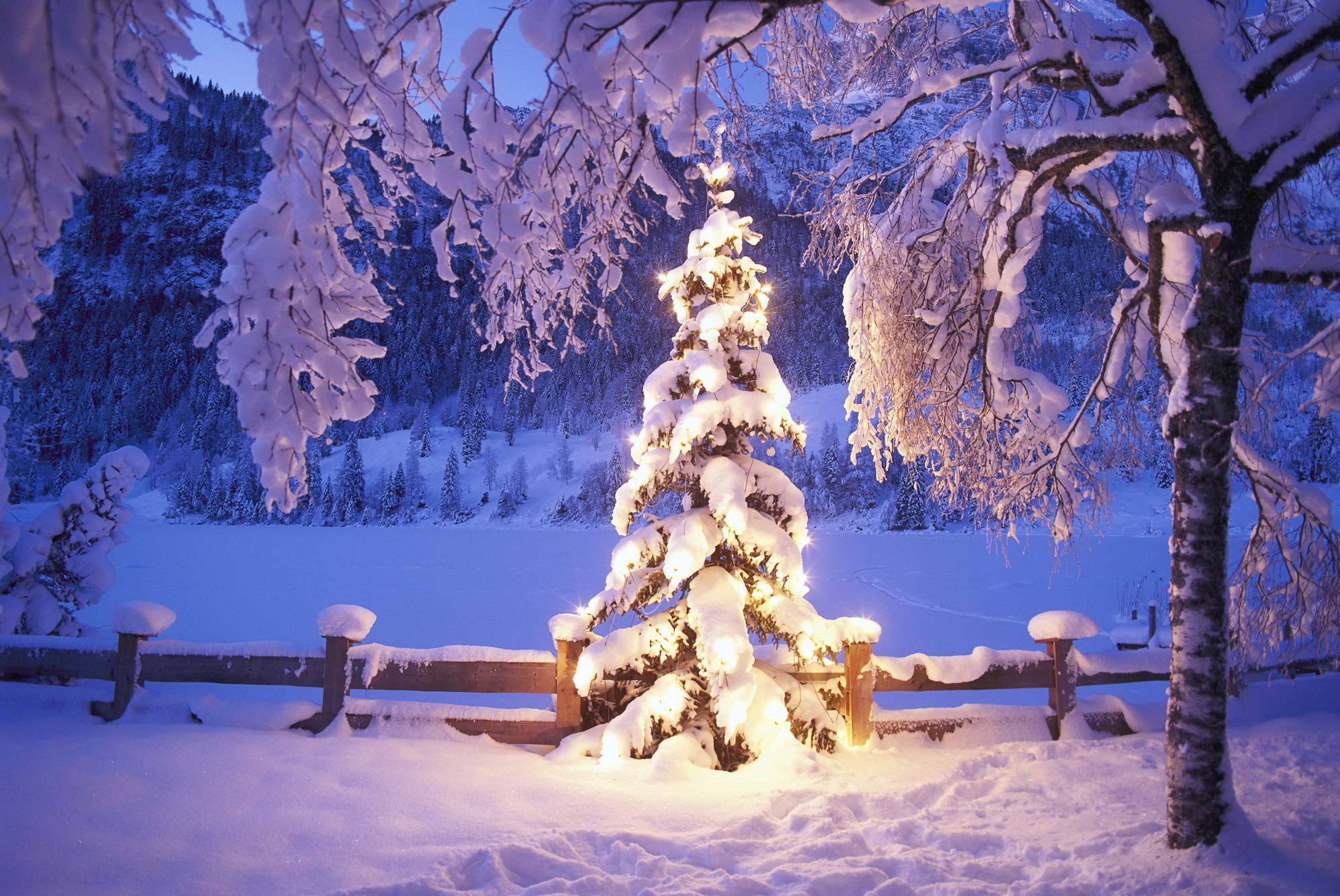 207028 скачать обои рождество, рождественская елка, рождественские огни, праздничные - заставки и картинки бесплатно