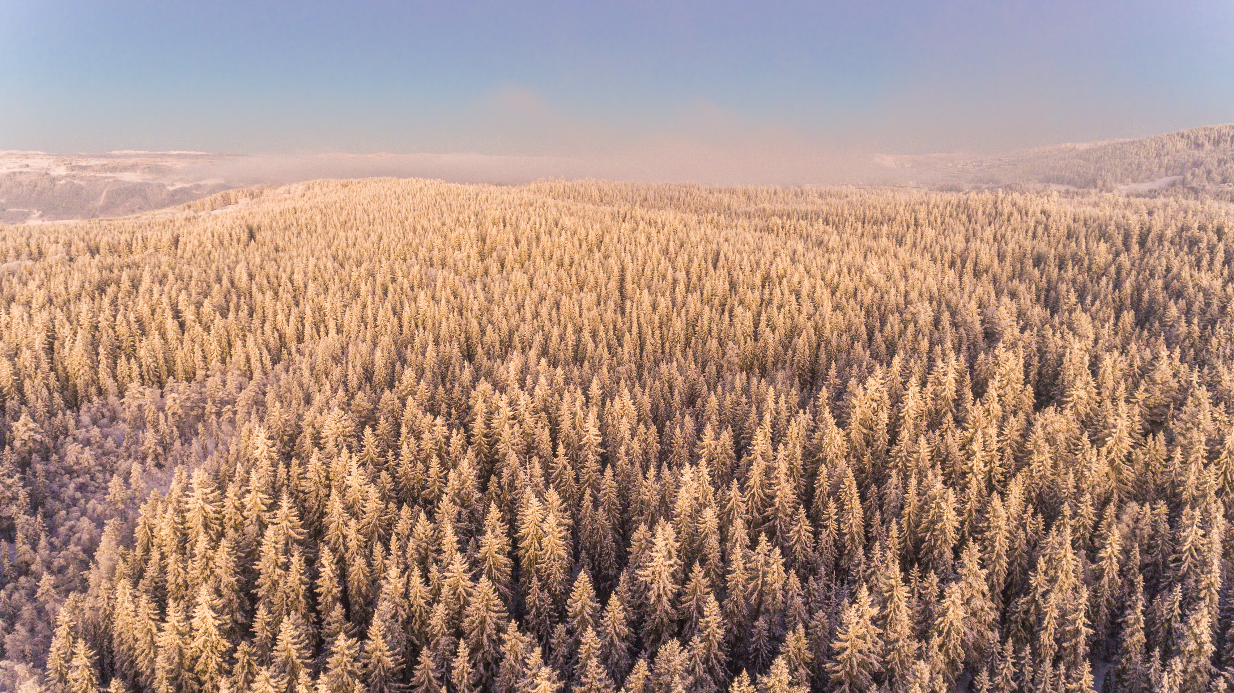 PCデスクトップに冬, 自然, 地平線, 森, 地球, 空中画像を無料でダウンロード