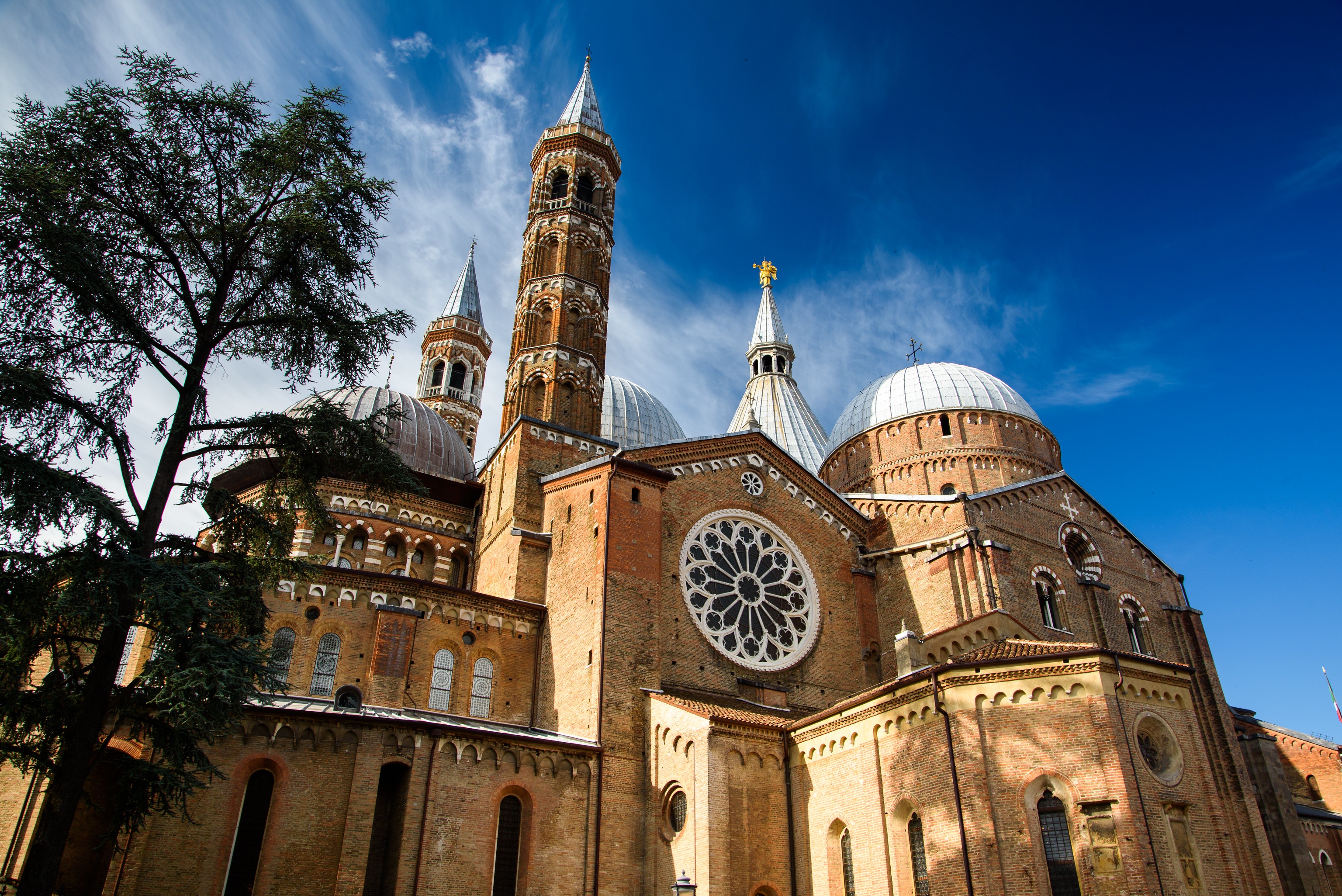 Baixar papel de parede para celular de Itália, Catedral, Religioso, Pádua, Catedral De Santo António gratuito.