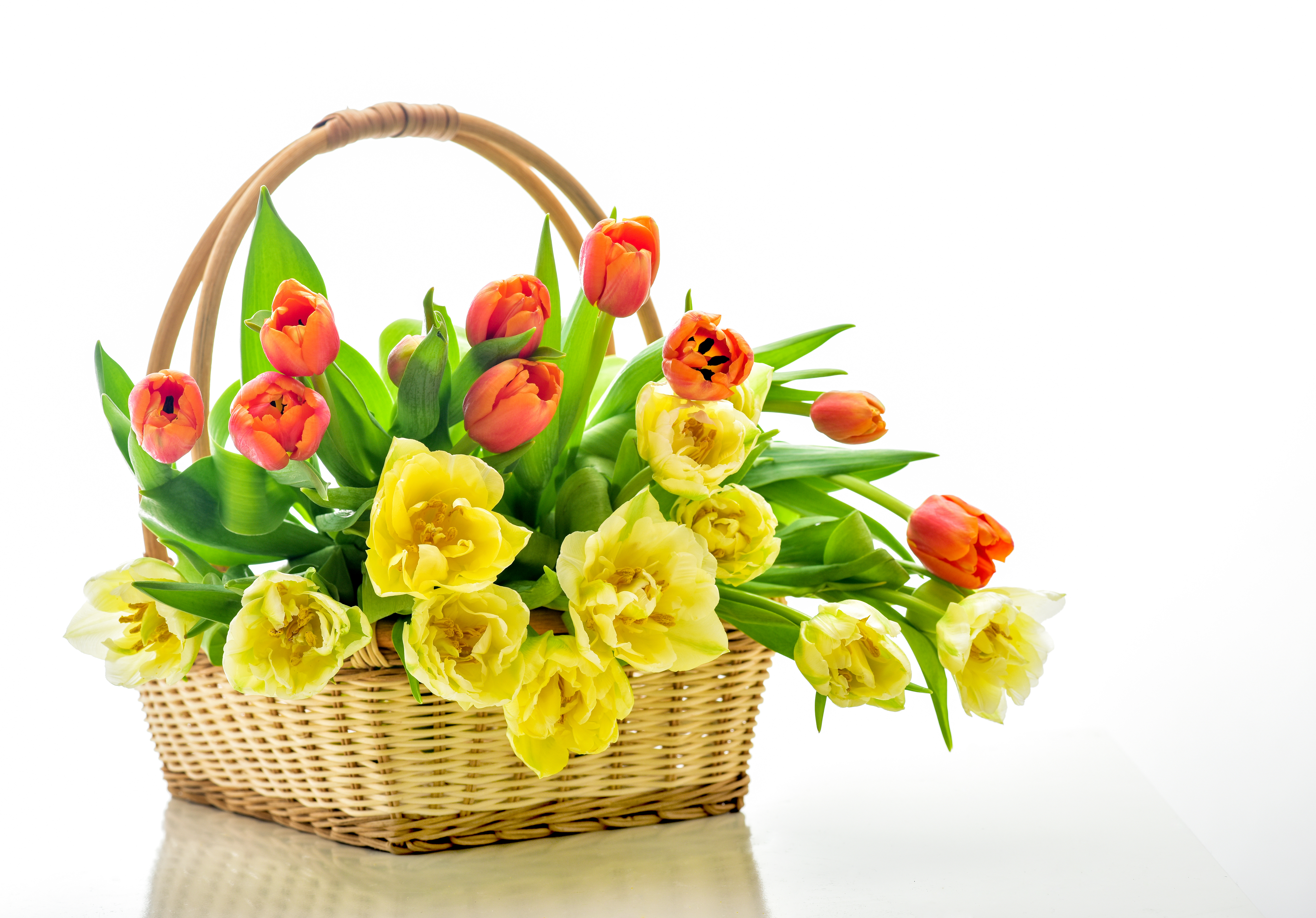 Laden Sie das Blume, Erde, Korb, Tulpe, Gelbe Blume, Menschengemacht, Orange Farbe), Orangene Blume-Bild kostenlos auf Ihren PC-Desktop herunter
