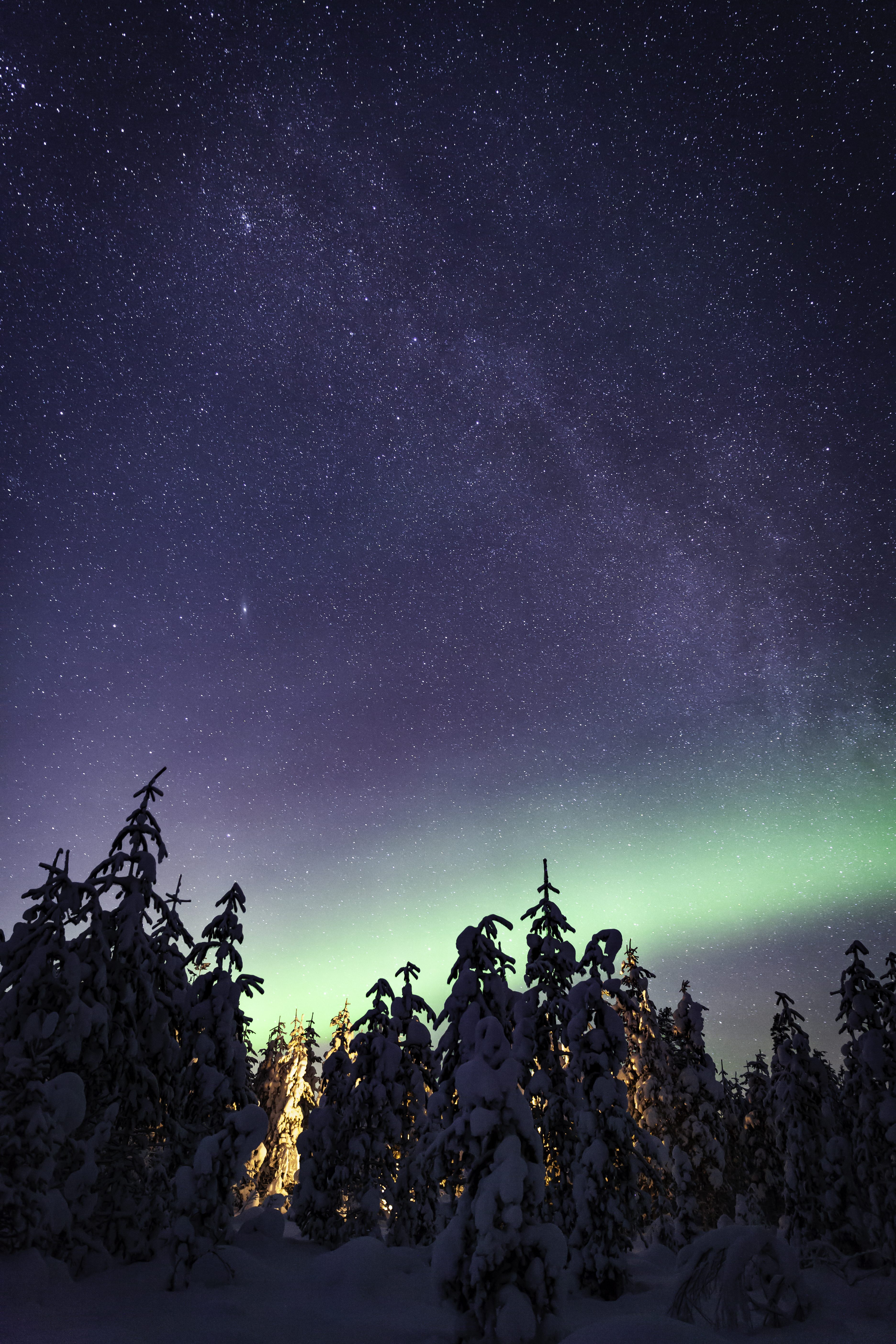 aurora borealis, northern lights, aurora, milky way, winter, nature, trees, starry sky
