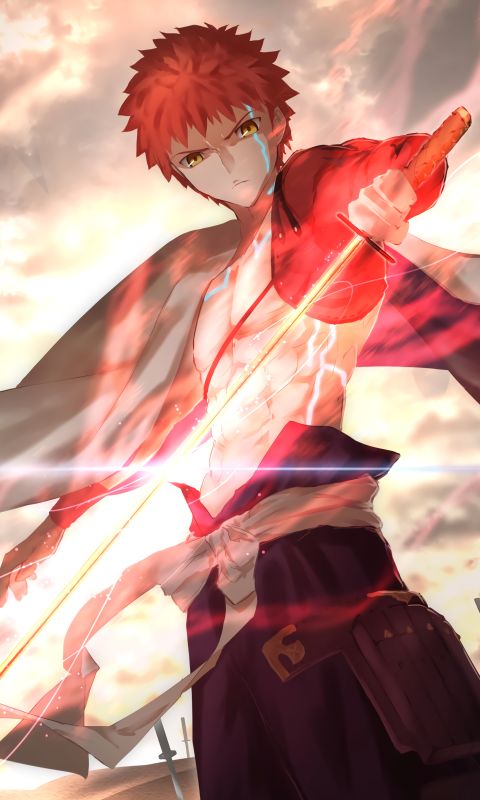 Baixar papel de parede para celular de Anime, Shirou Emiya, Destino (Série), Fate/grand Order gratuito.